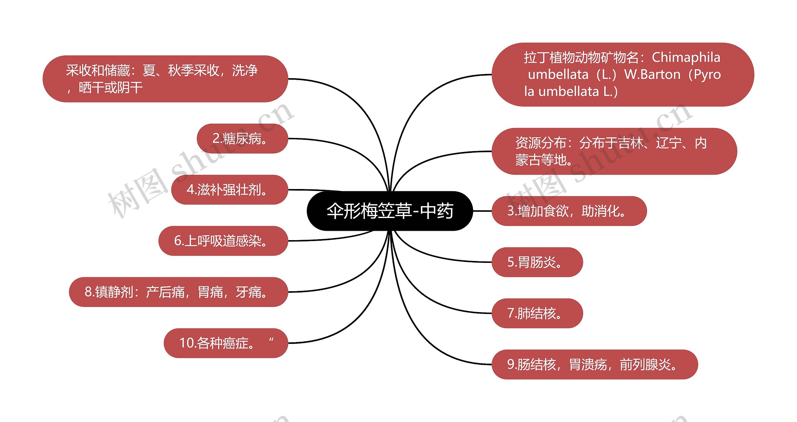 伞形梅笠草-中药思维导图