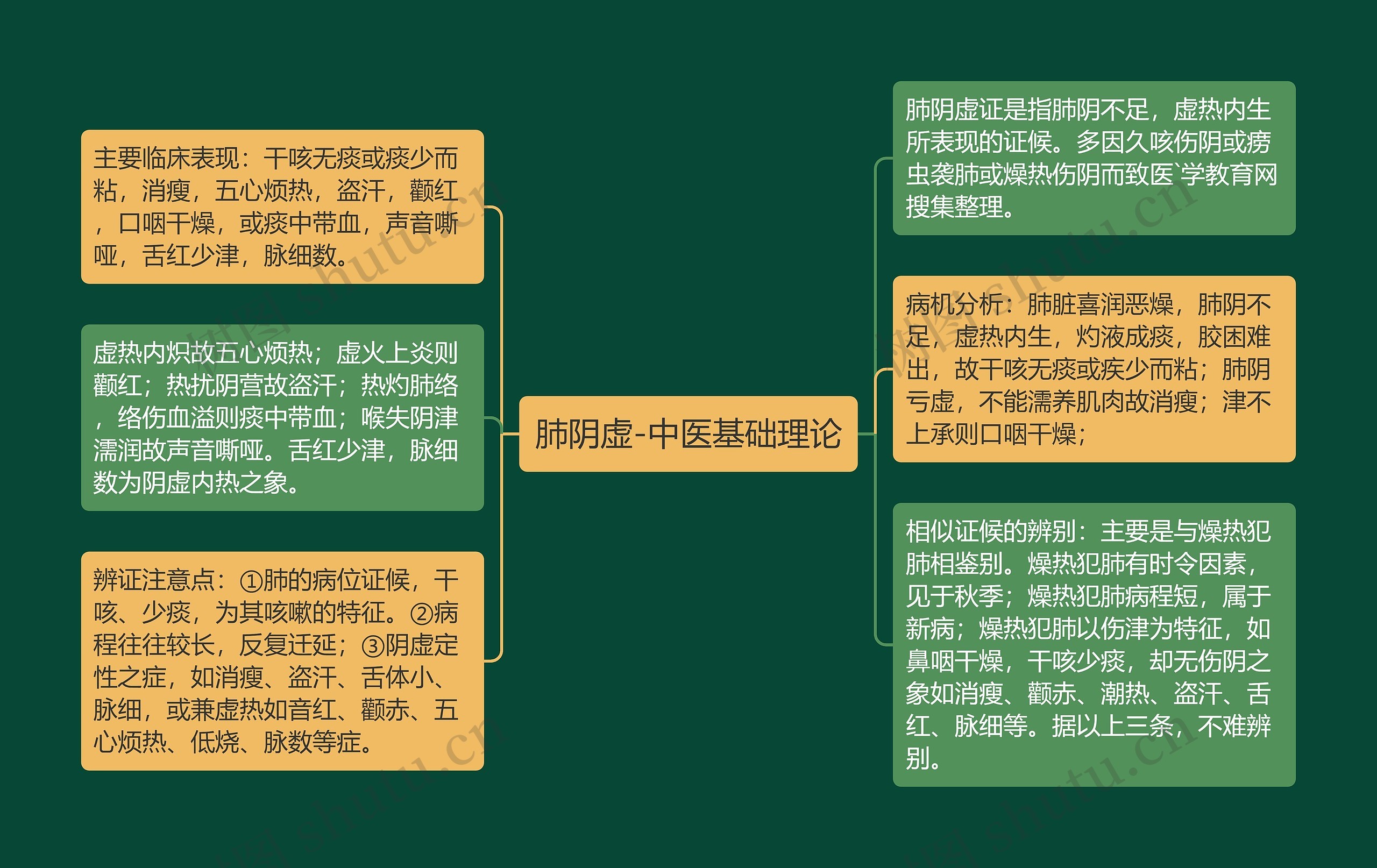 肺阴虚-中医基础理论思维导图