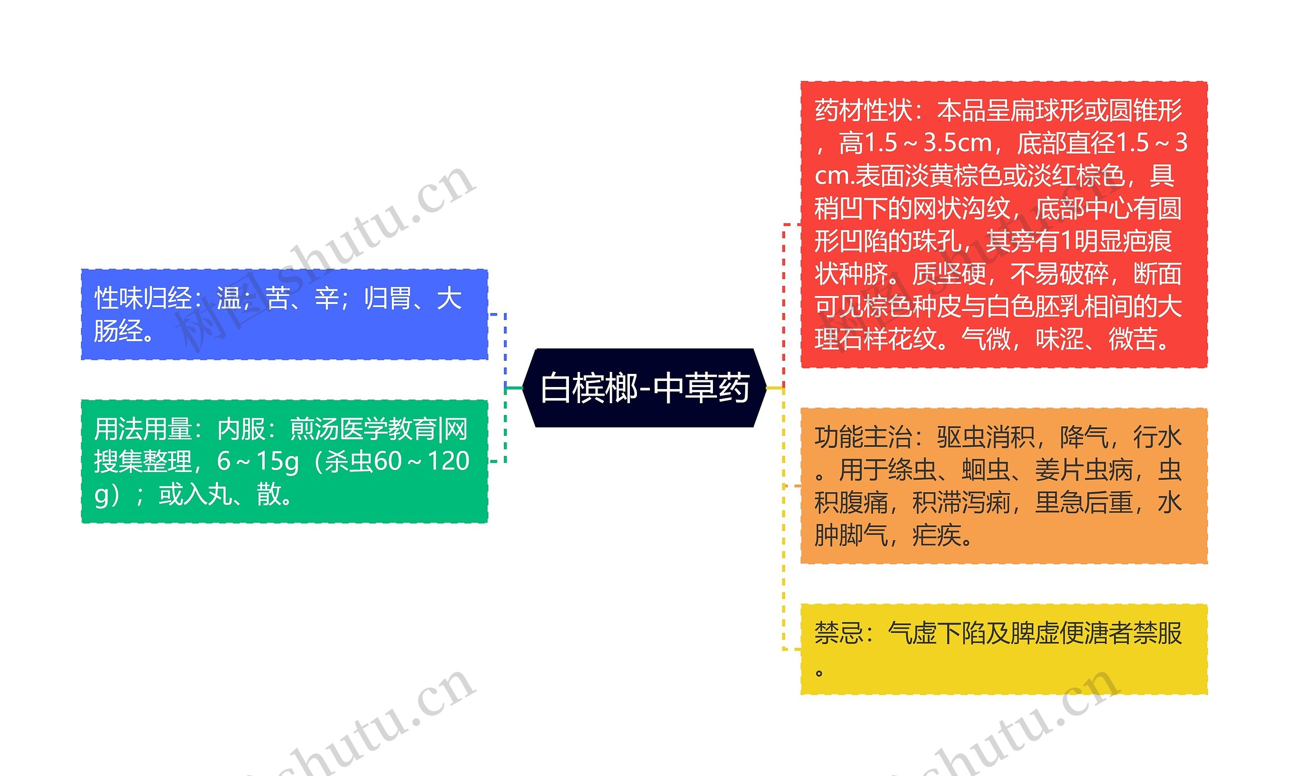 白槟榔-中草药思维导图