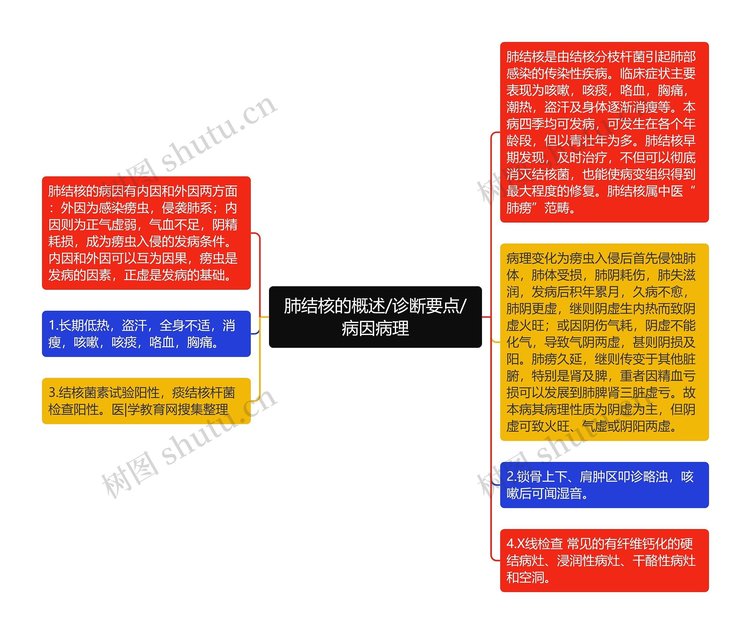 肺结核的概述/诊断要点/病因病理思维导图