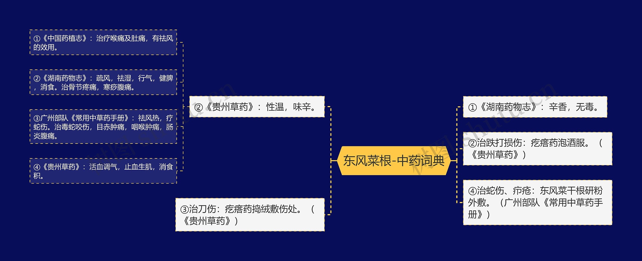 东风菜根-中药词典思维导图