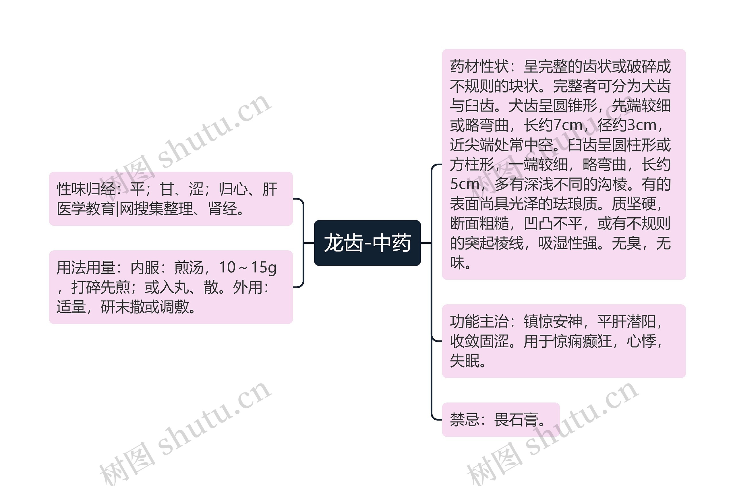 龙齿-中药思维导图