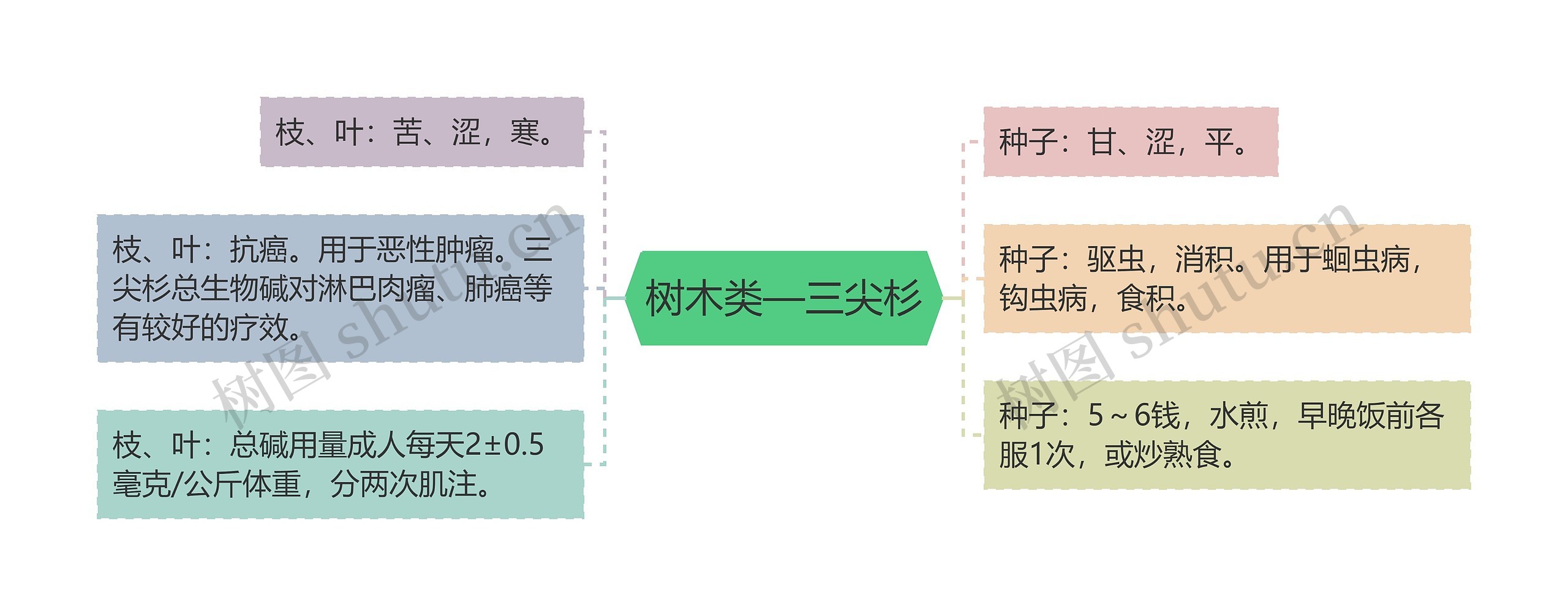 树木类—三尖杉思维导图