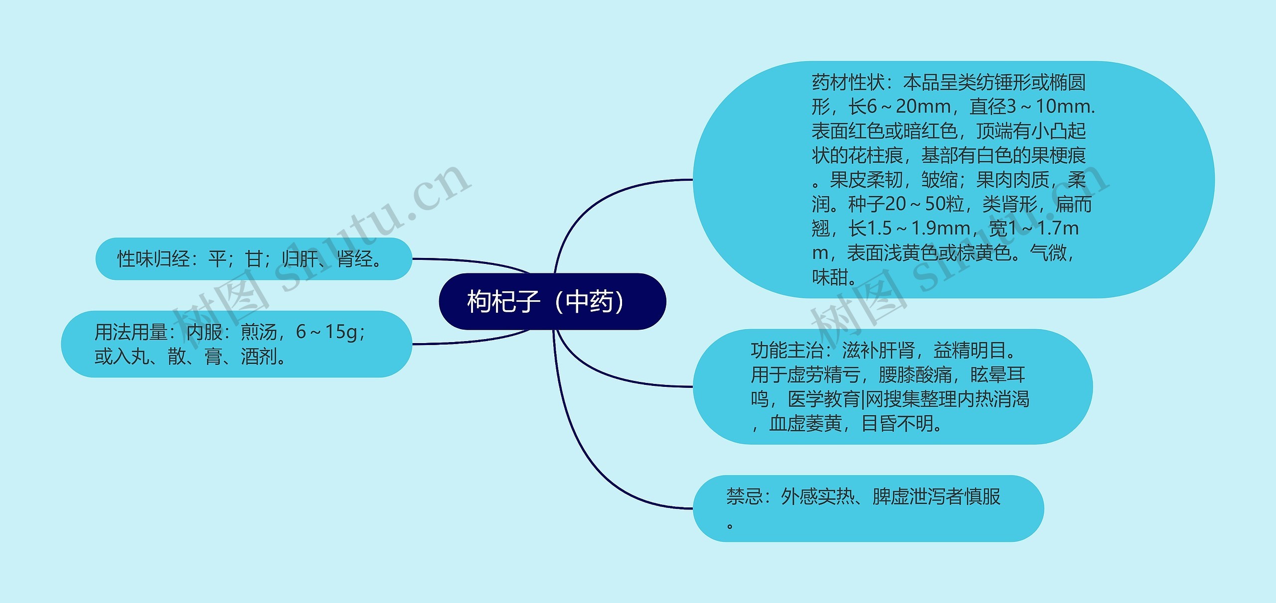 枸杞子（中药）思维导图