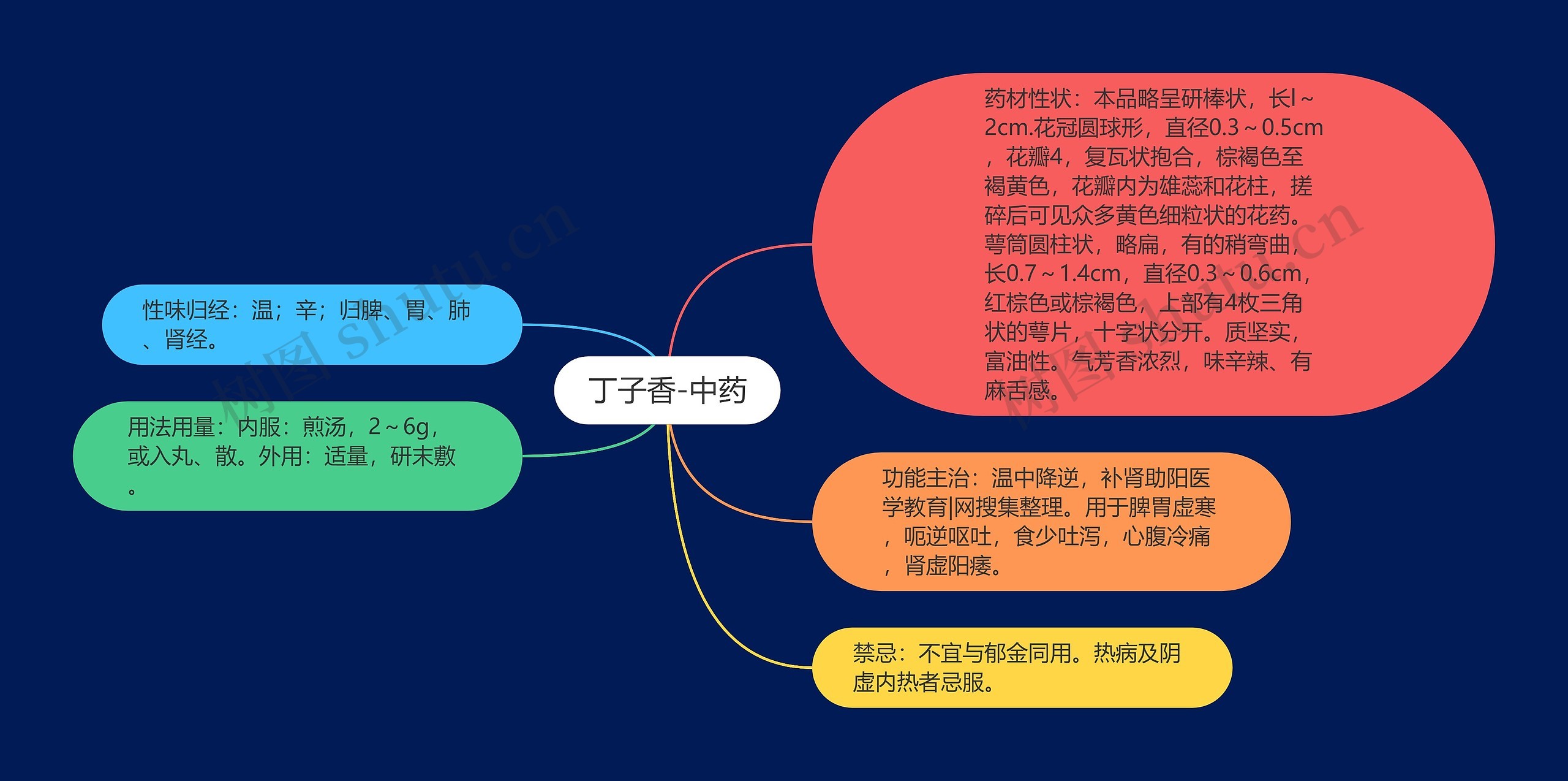 丁子香-中药 丁子香-中药