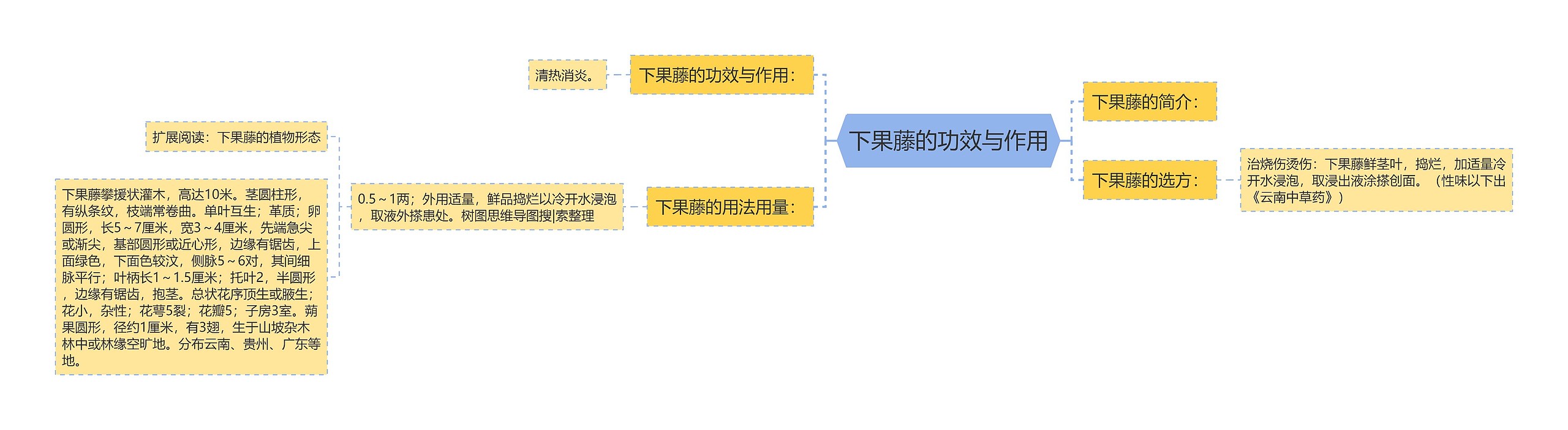 下果藤的功效与作用