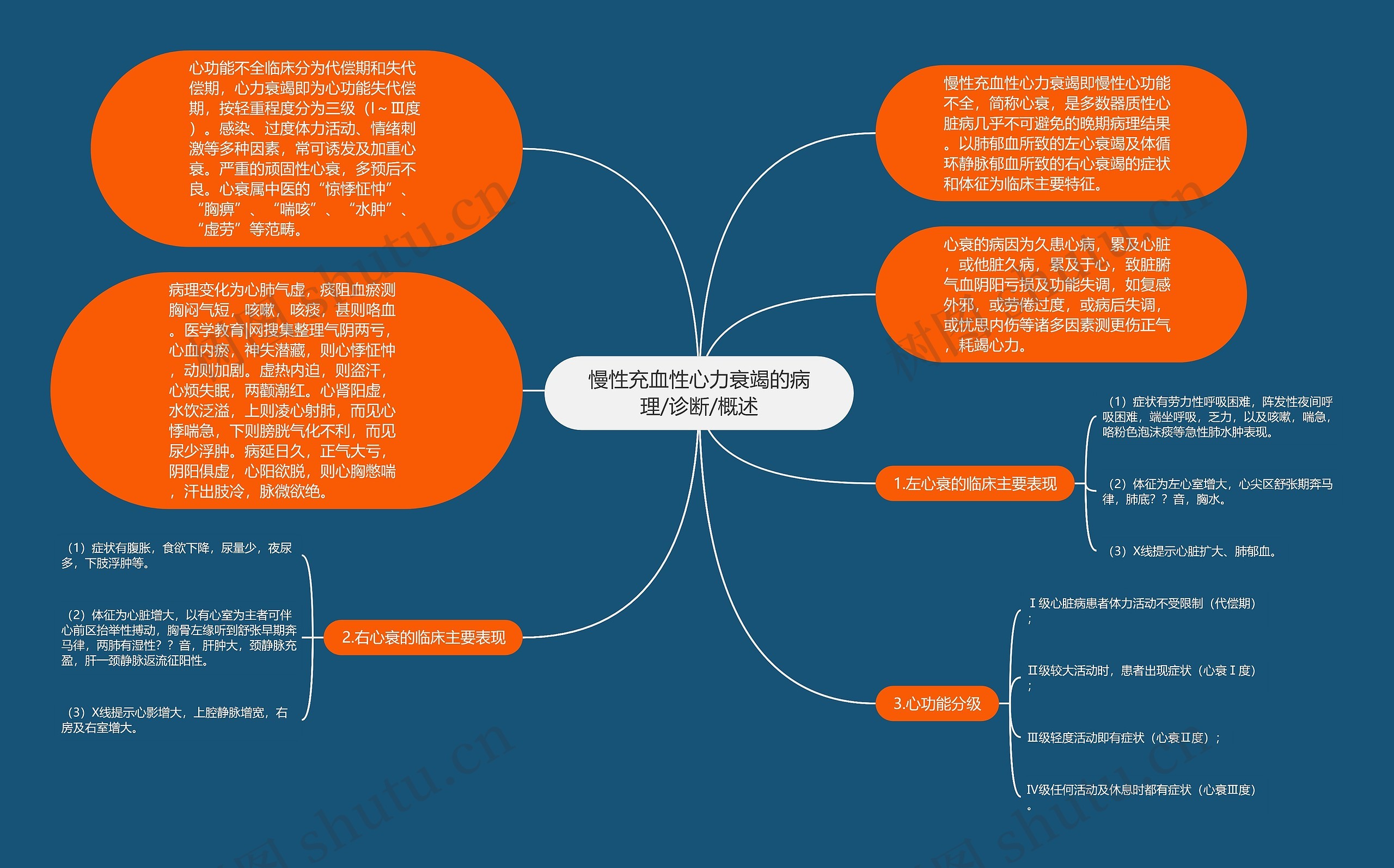 慢性充血性心力衰竭的病理/诊断/概述思维导图