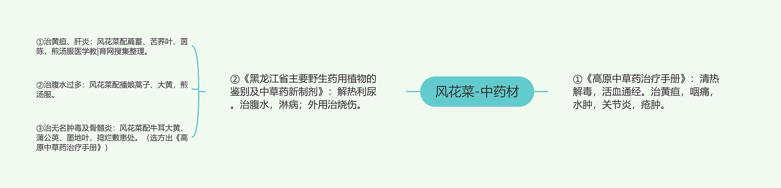 风花菜-中药材 风花菜-中药材
