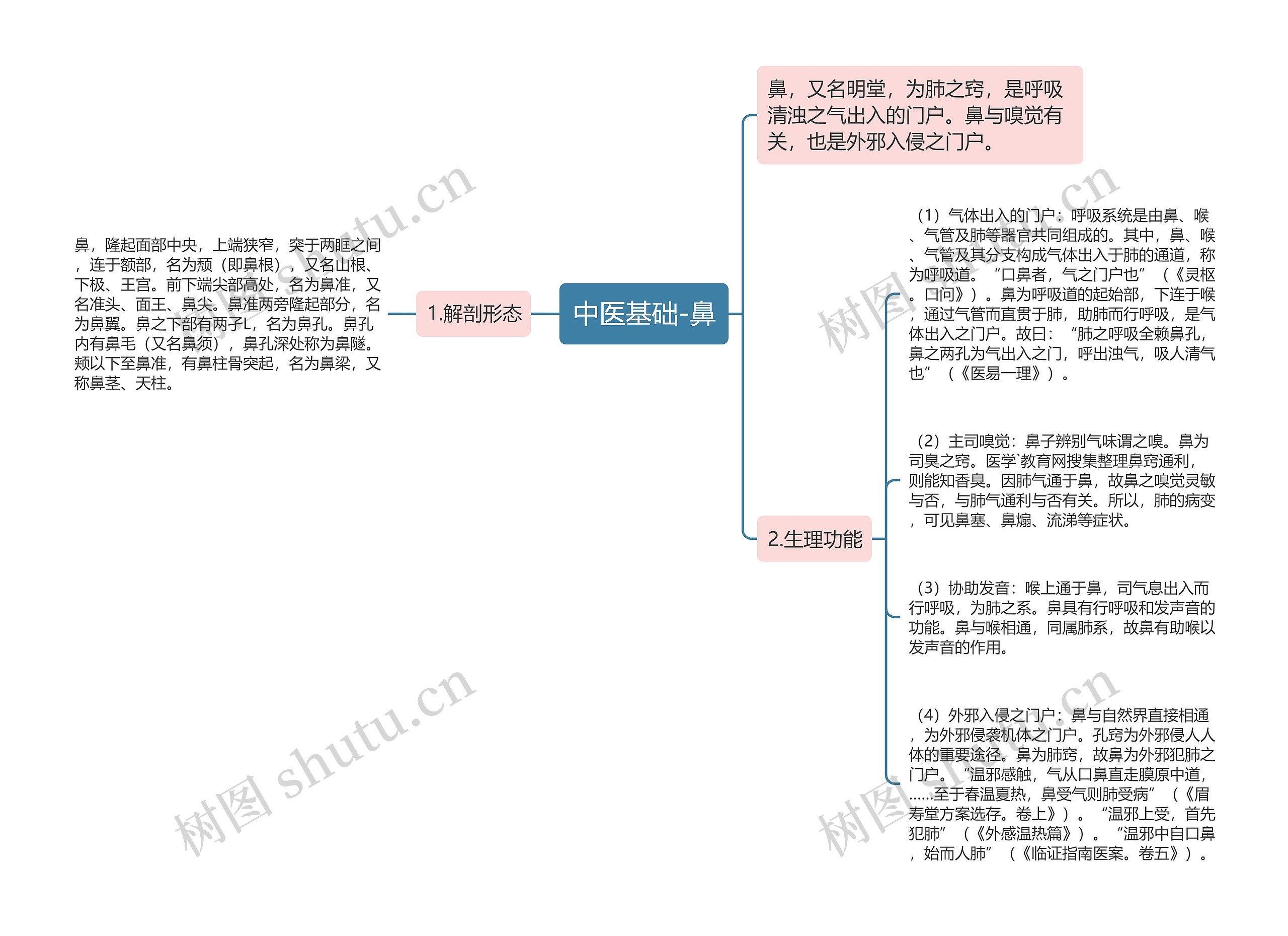 中医基础-鼻思维导图
