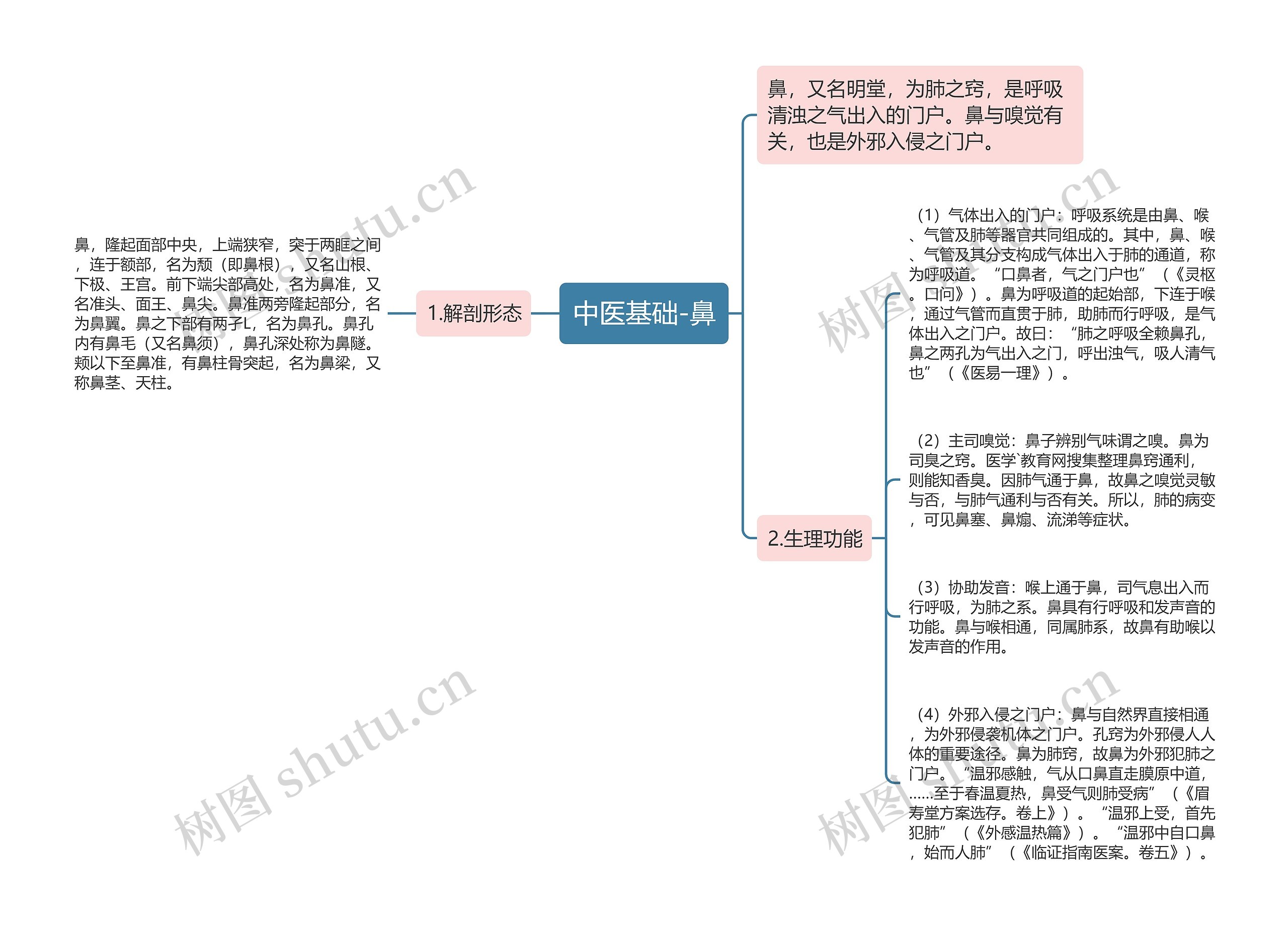 中医基础-鼻 中医基础-鼻