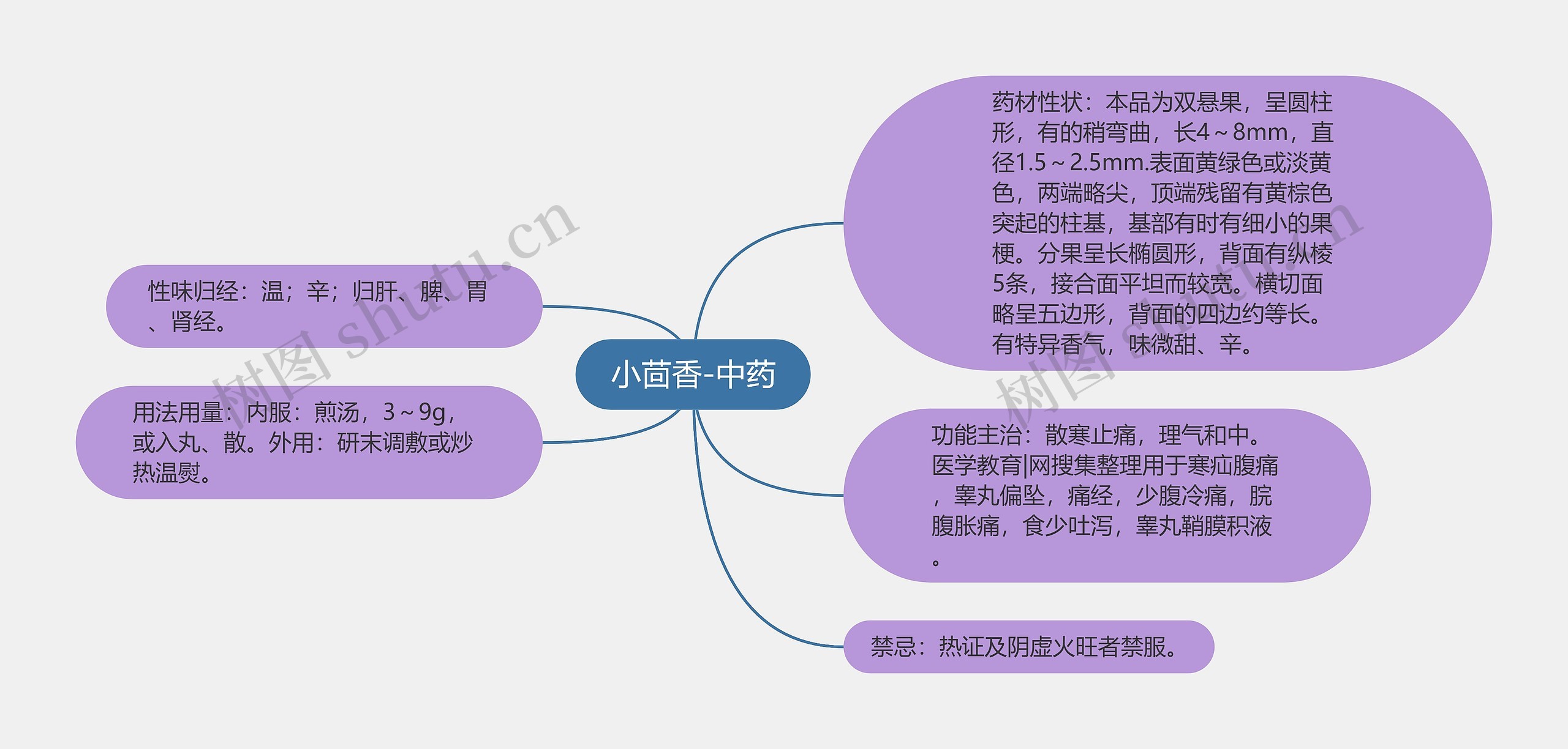 小茴香-中药 小茴香-中药