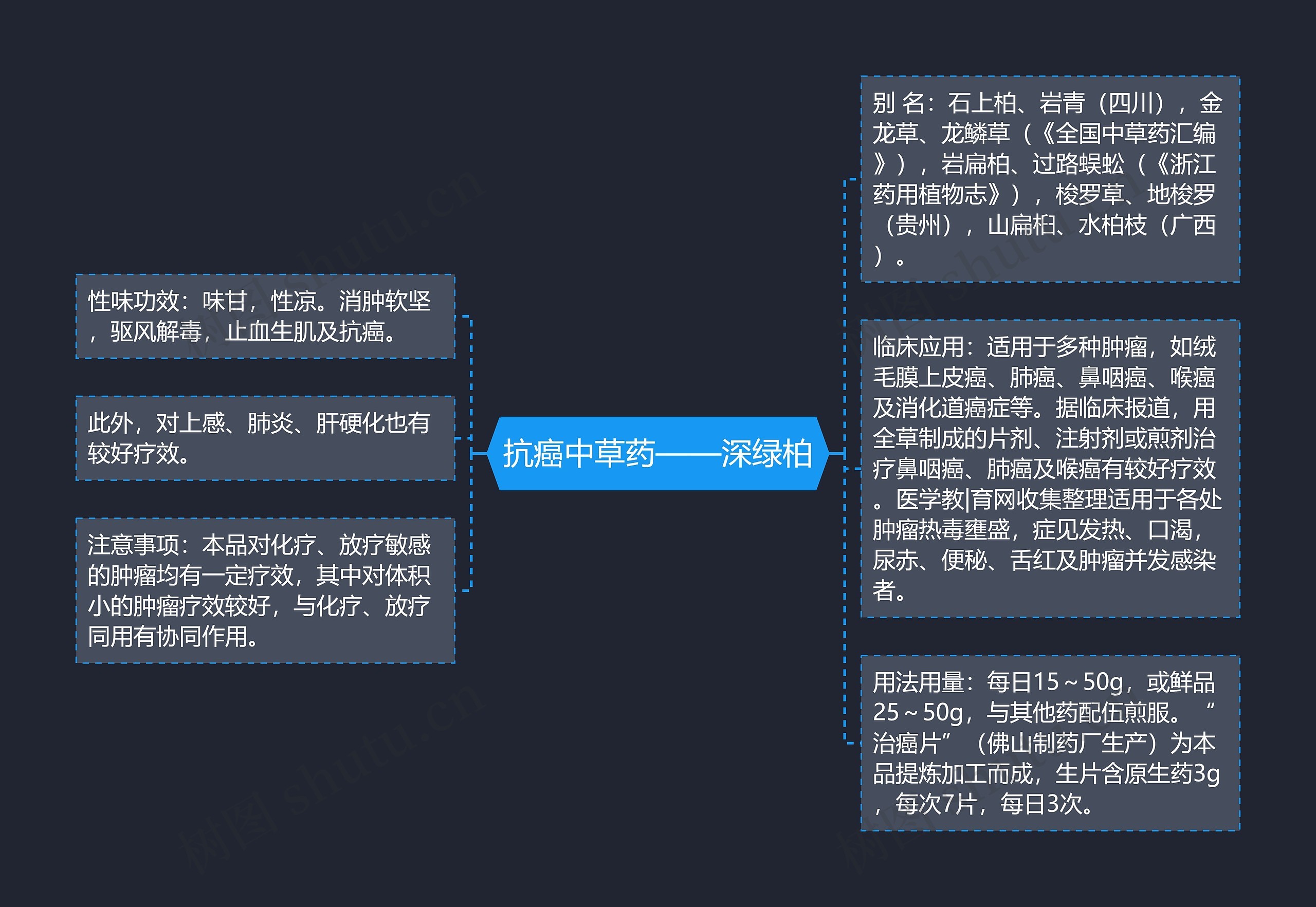 抗癌中草药——深绿柏思维导图