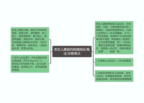 新生儿黄疸的病理病因/概述/诊断要点