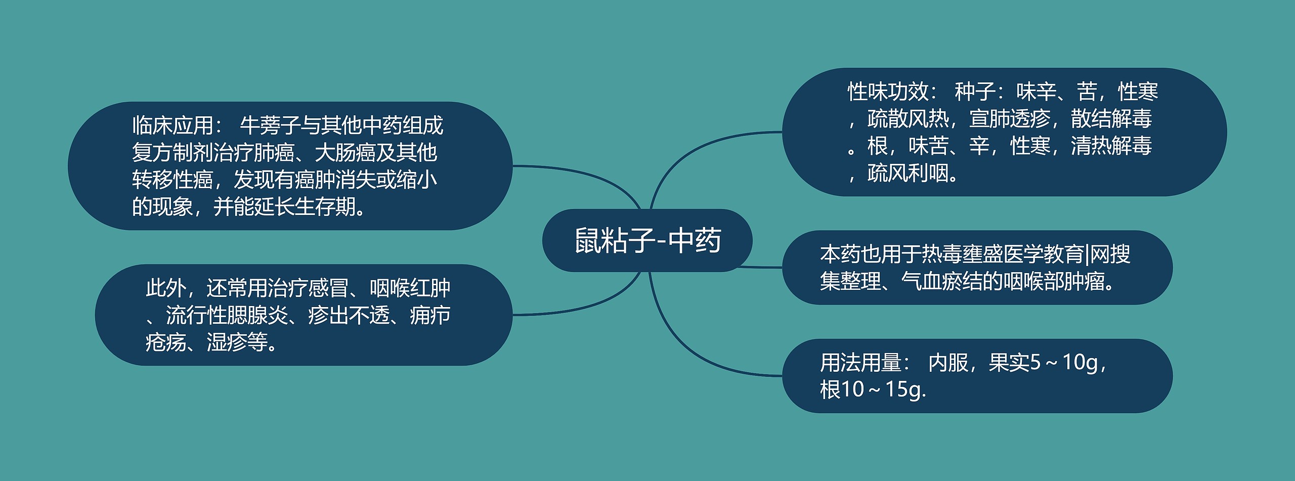 鼠粘子-中药 鼠粘子-中药