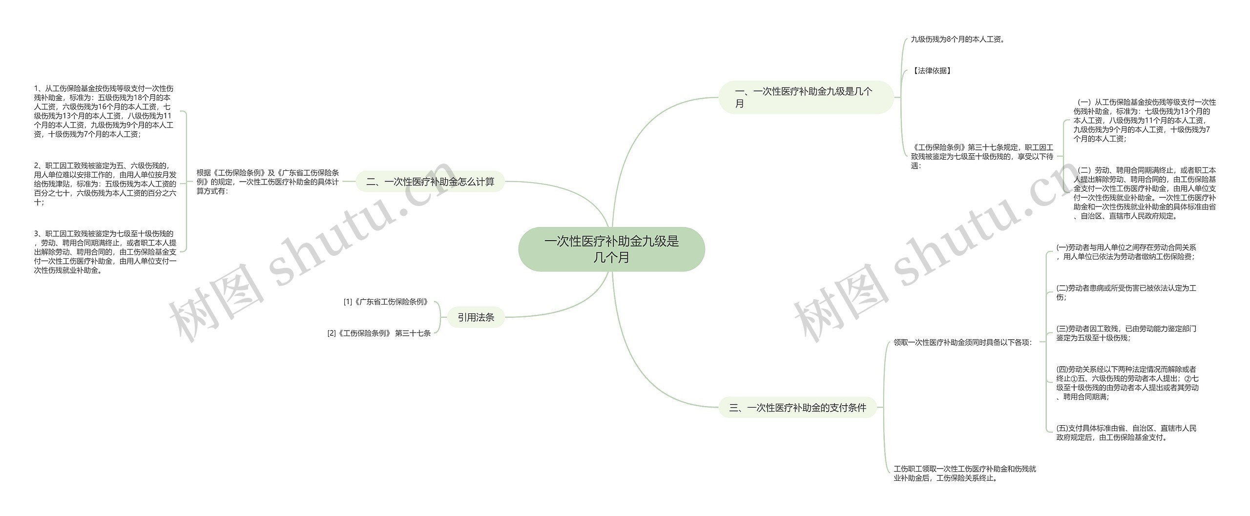 一次性医疗补助金九级是几个月思维导图