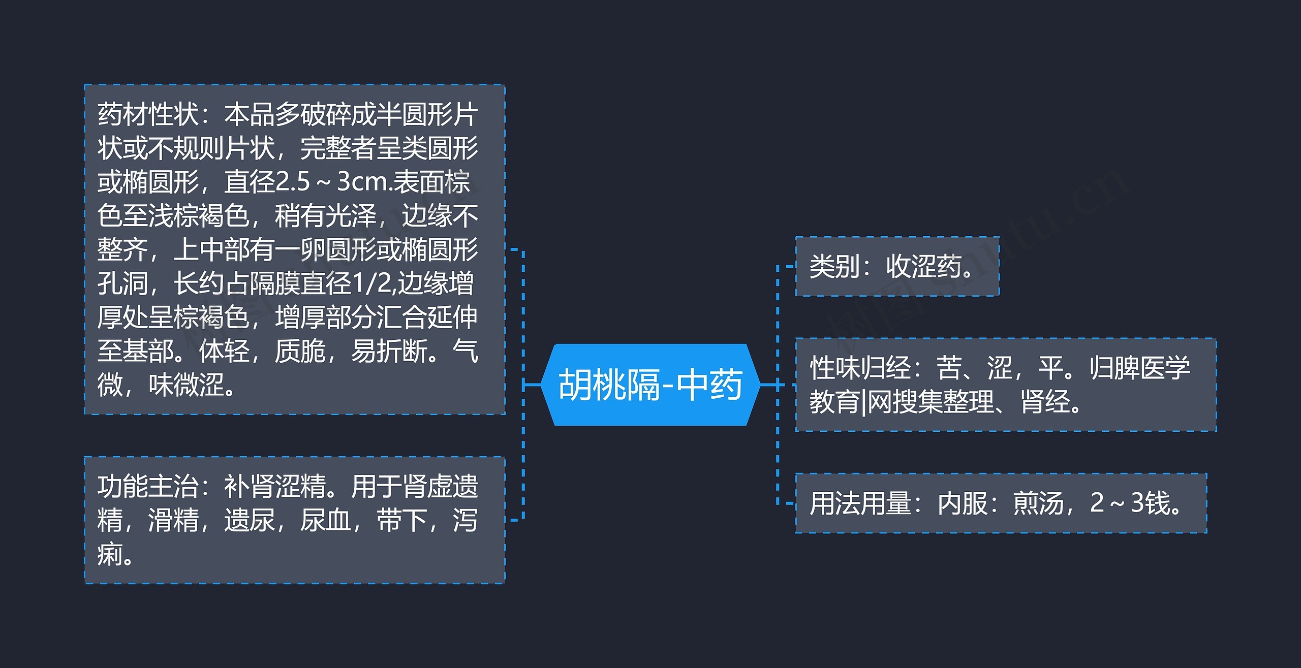 胡桃隔-中药 胡桃隔-中药