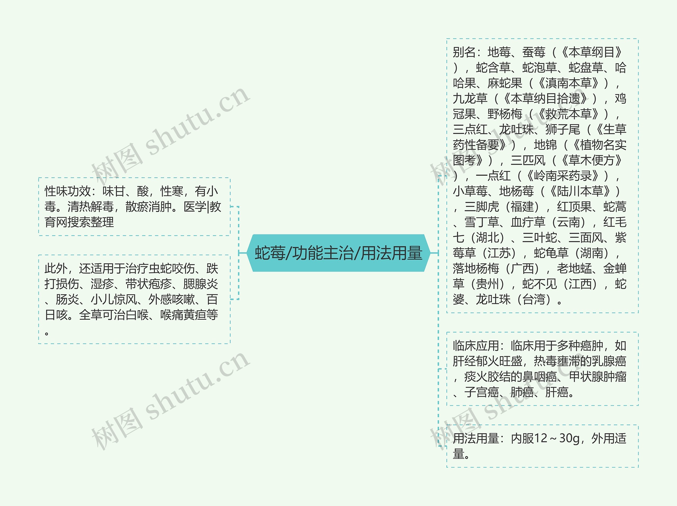 蛇莓/功能主治/用法用量思维导图