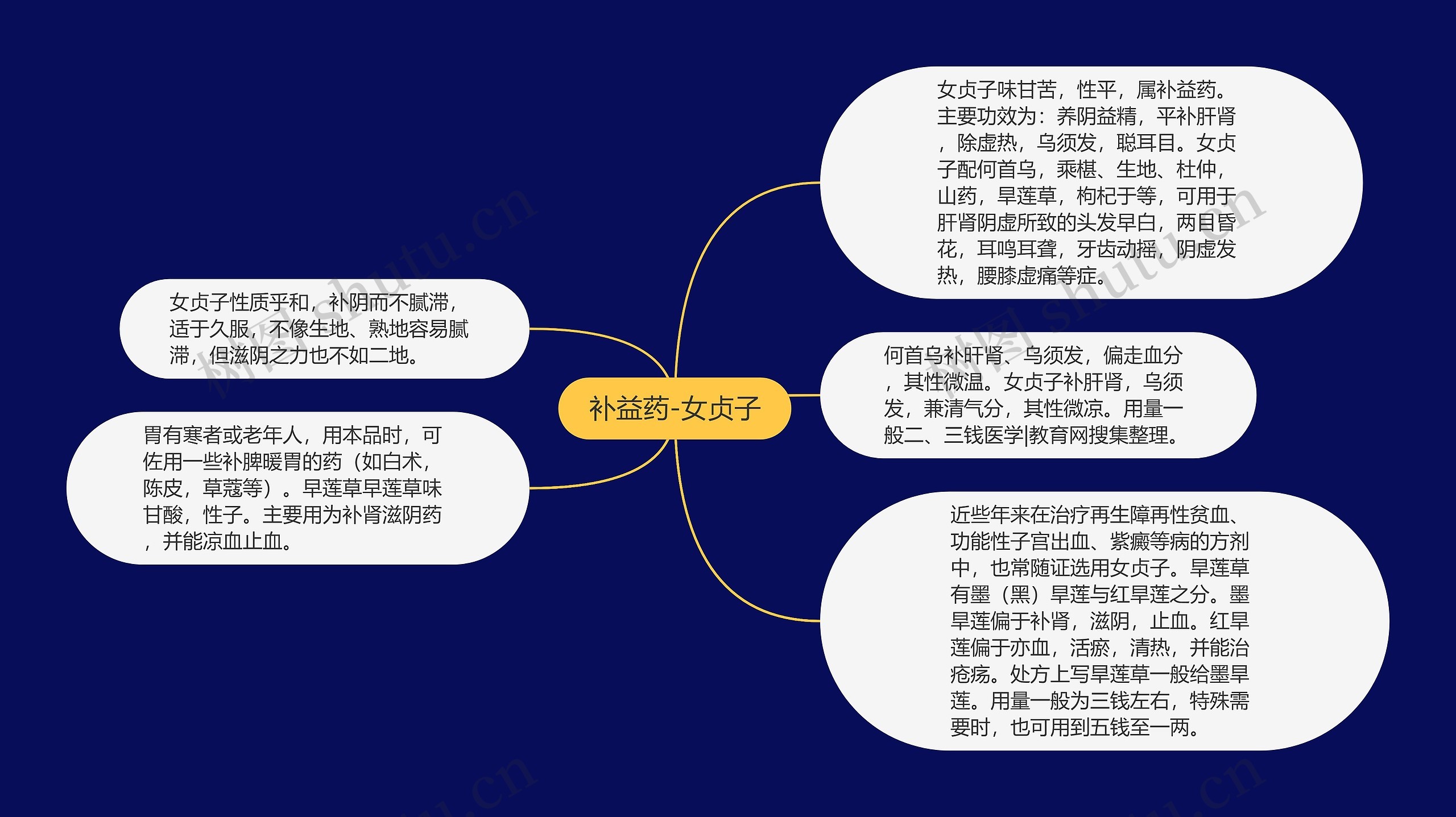 补益药-女贞子思维导图