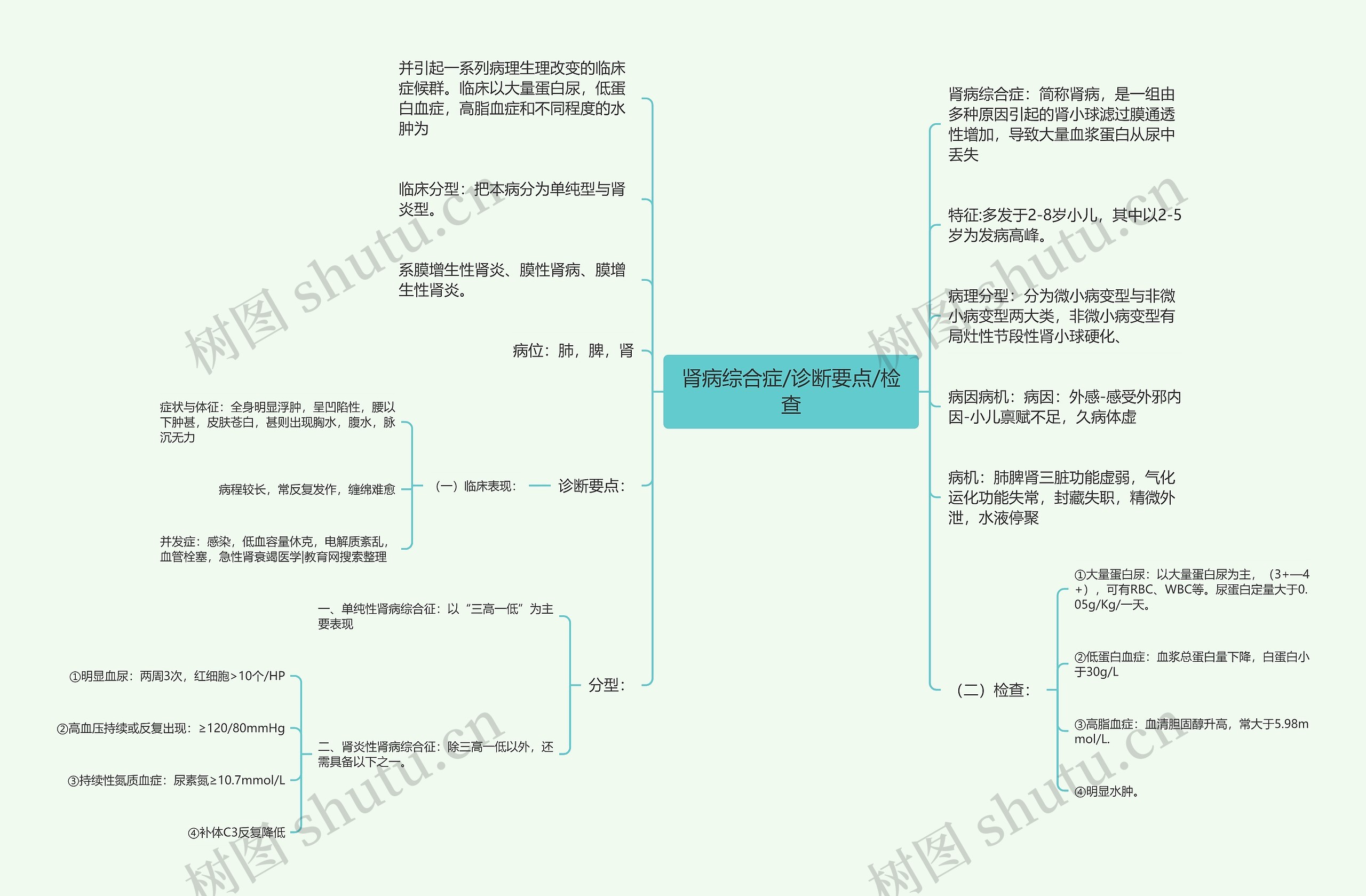 肾病综合症/诊断要点/检查思维导图