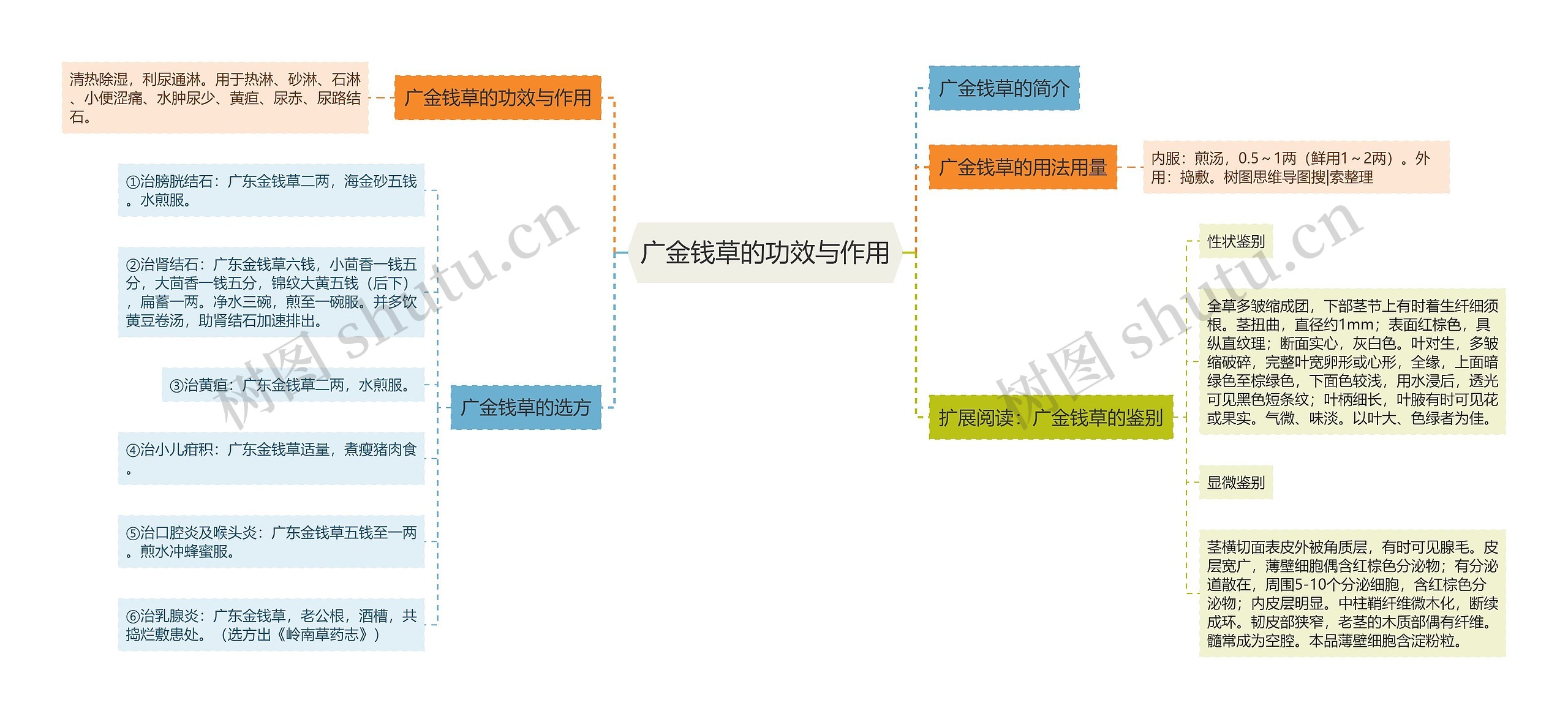 广金钱草的功效与作用思维导图