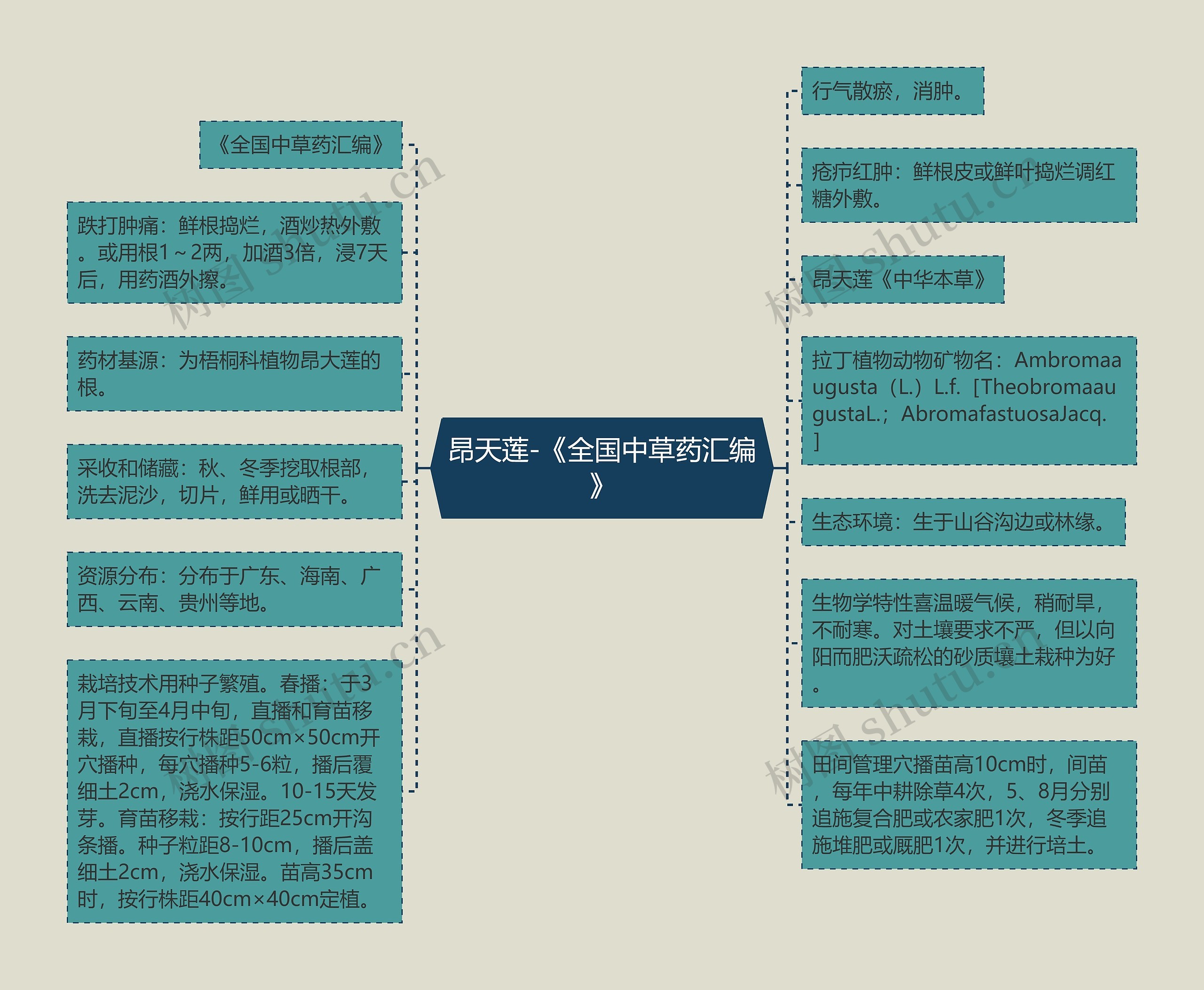 昂天莲-《全国中草药汇编》思维导图