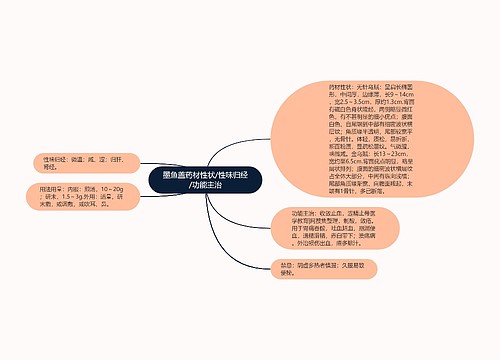 墨鱼盖药材性状/性味归经/功能主治