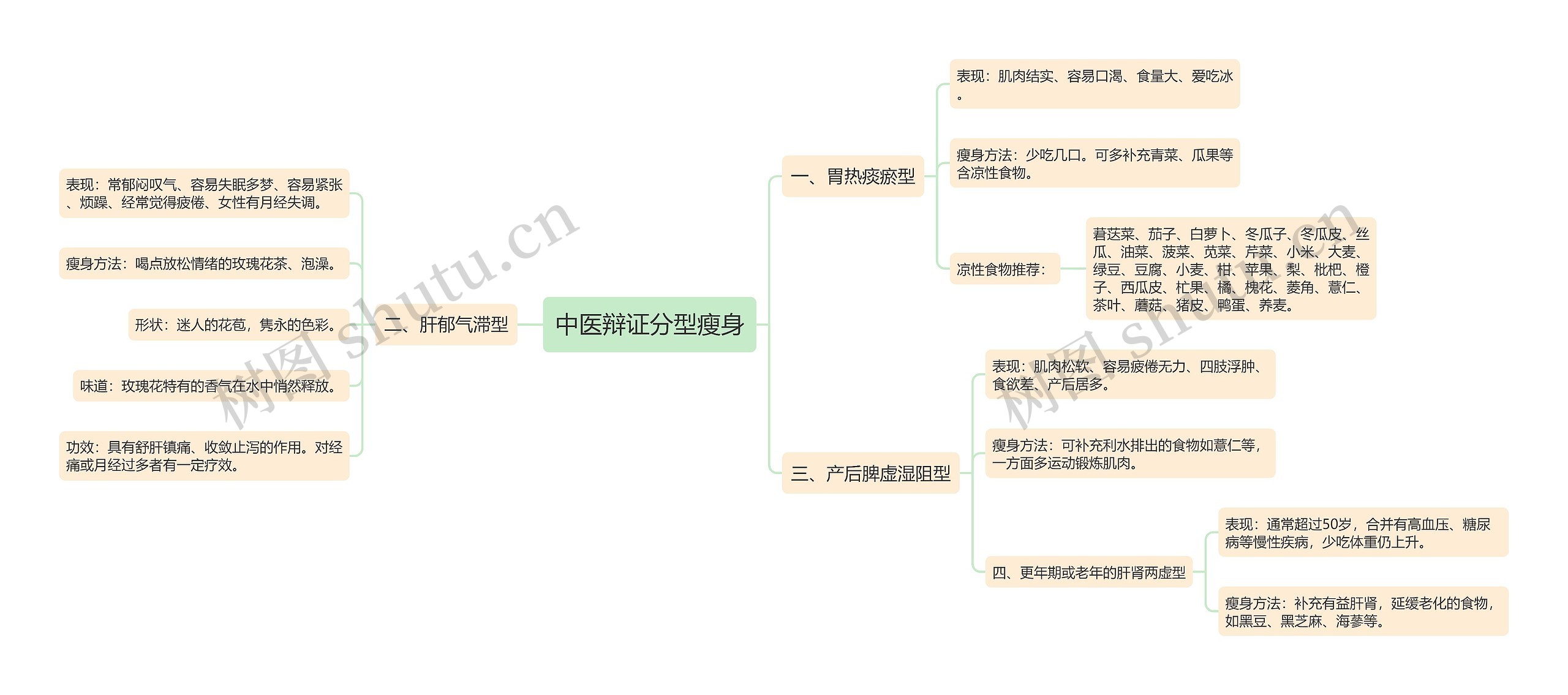 中医辩证分型瘦身