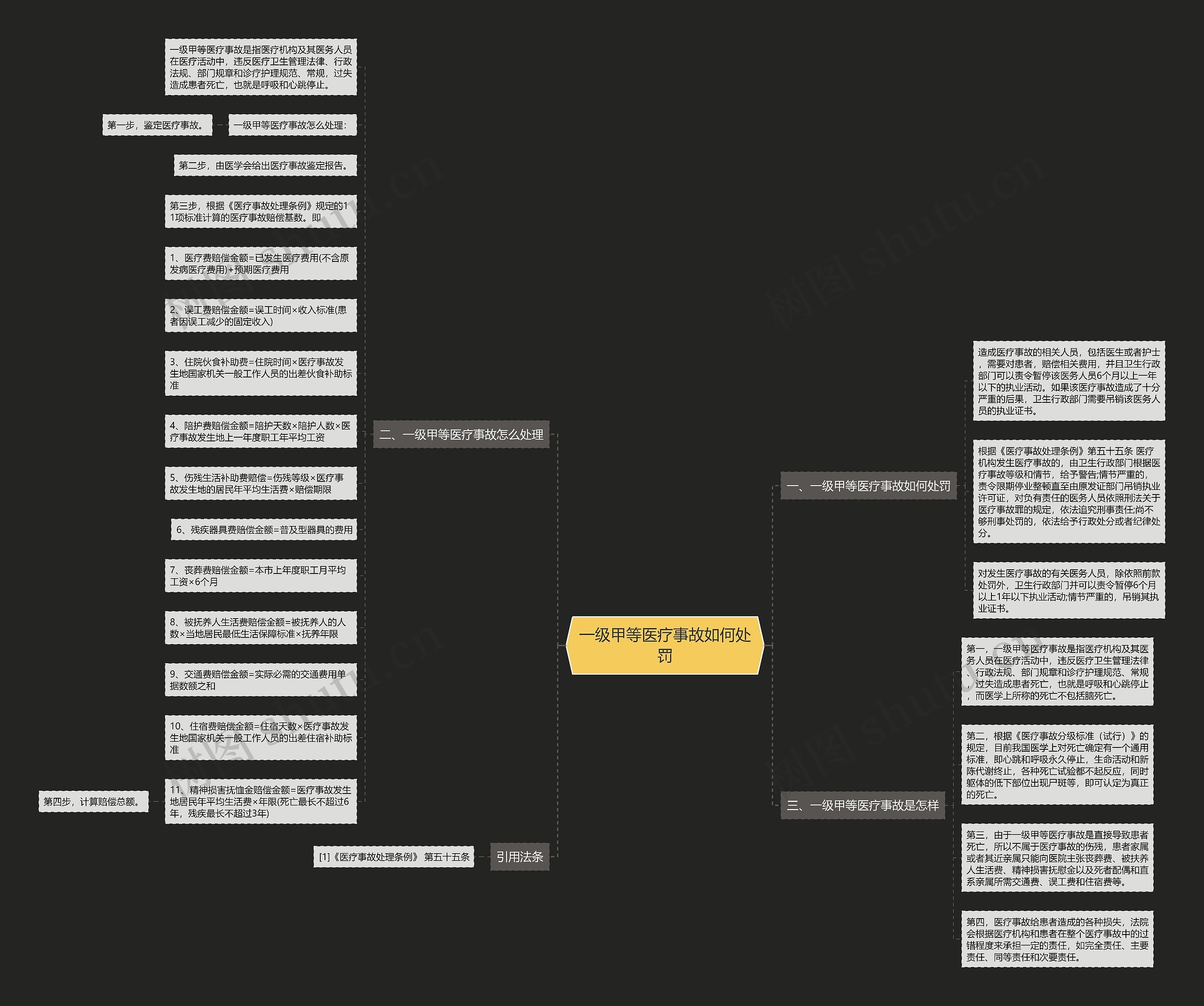 一级甲等医疗事故如何处罚思维导图
