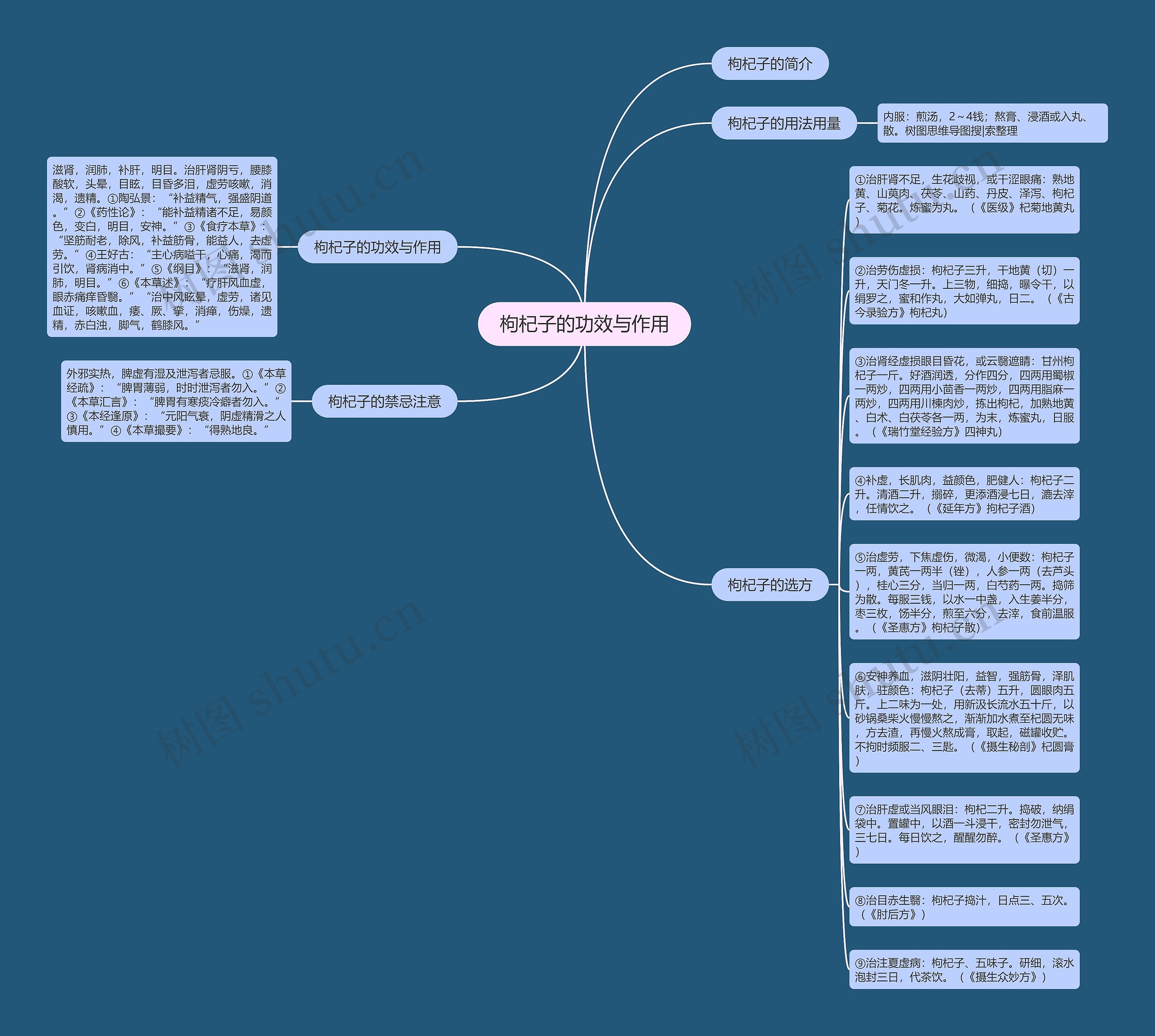 枸杞子的功效与作用思维导图