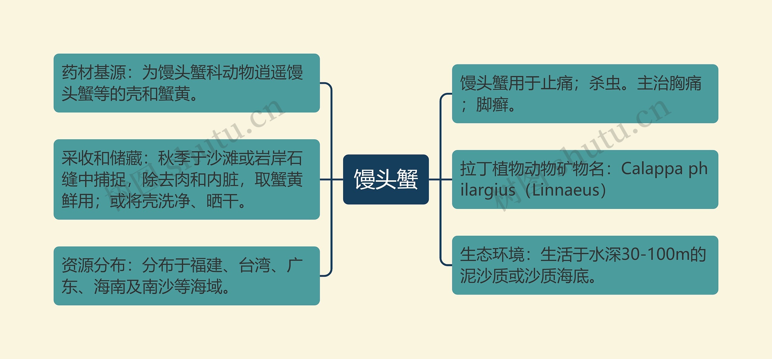 馒头蟹思维导图