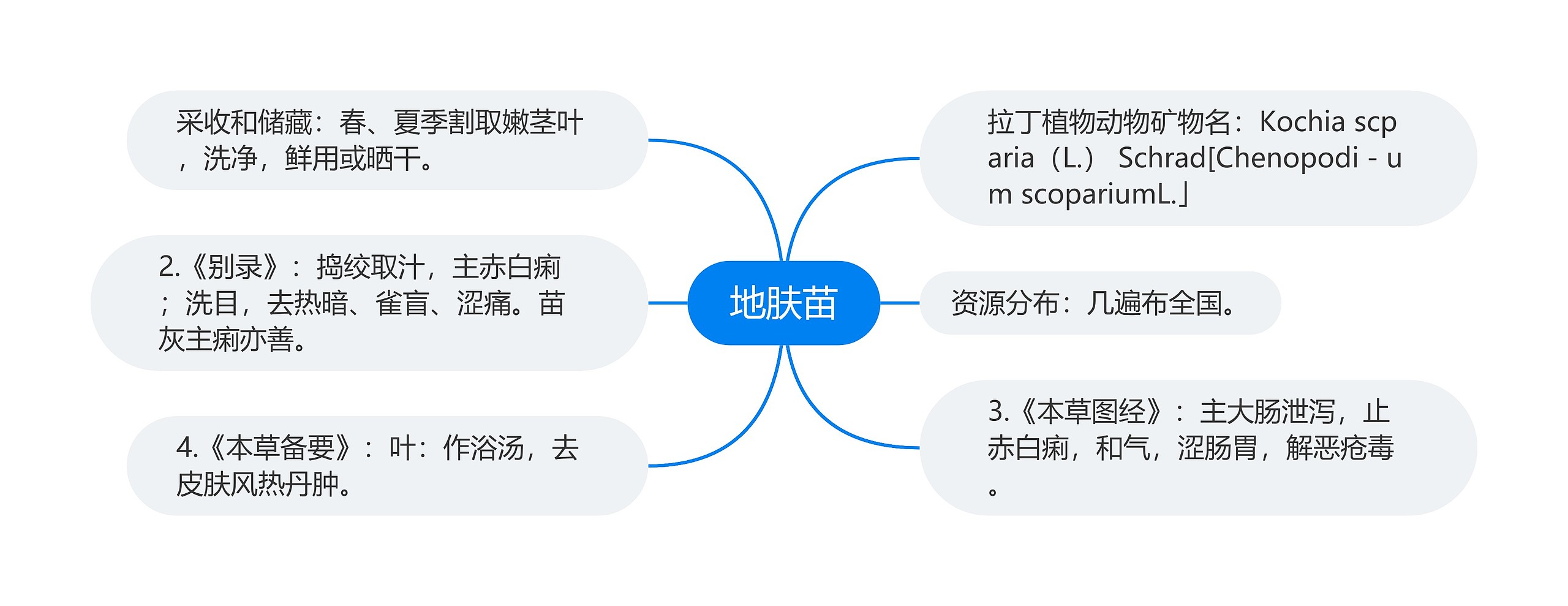 地肤苗