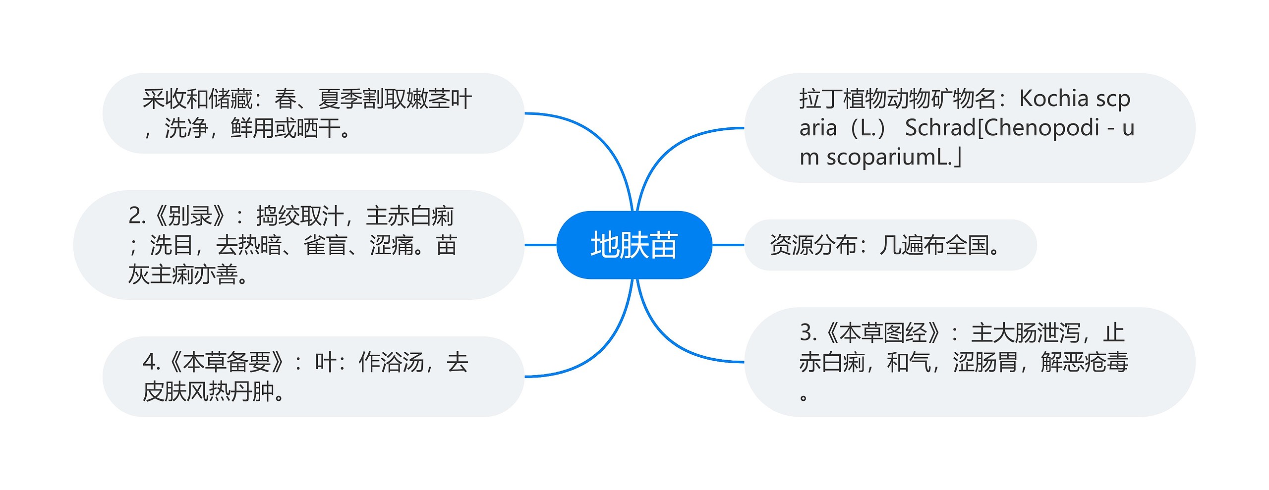 地肤苗思维导图