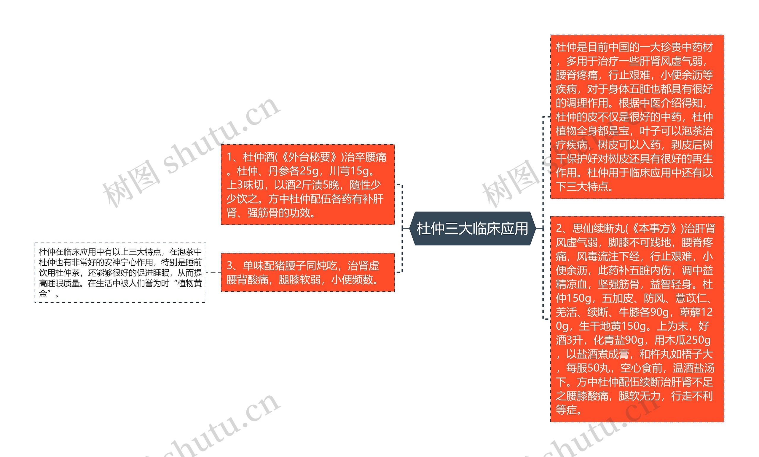 杜仲三大临床应用思维导图