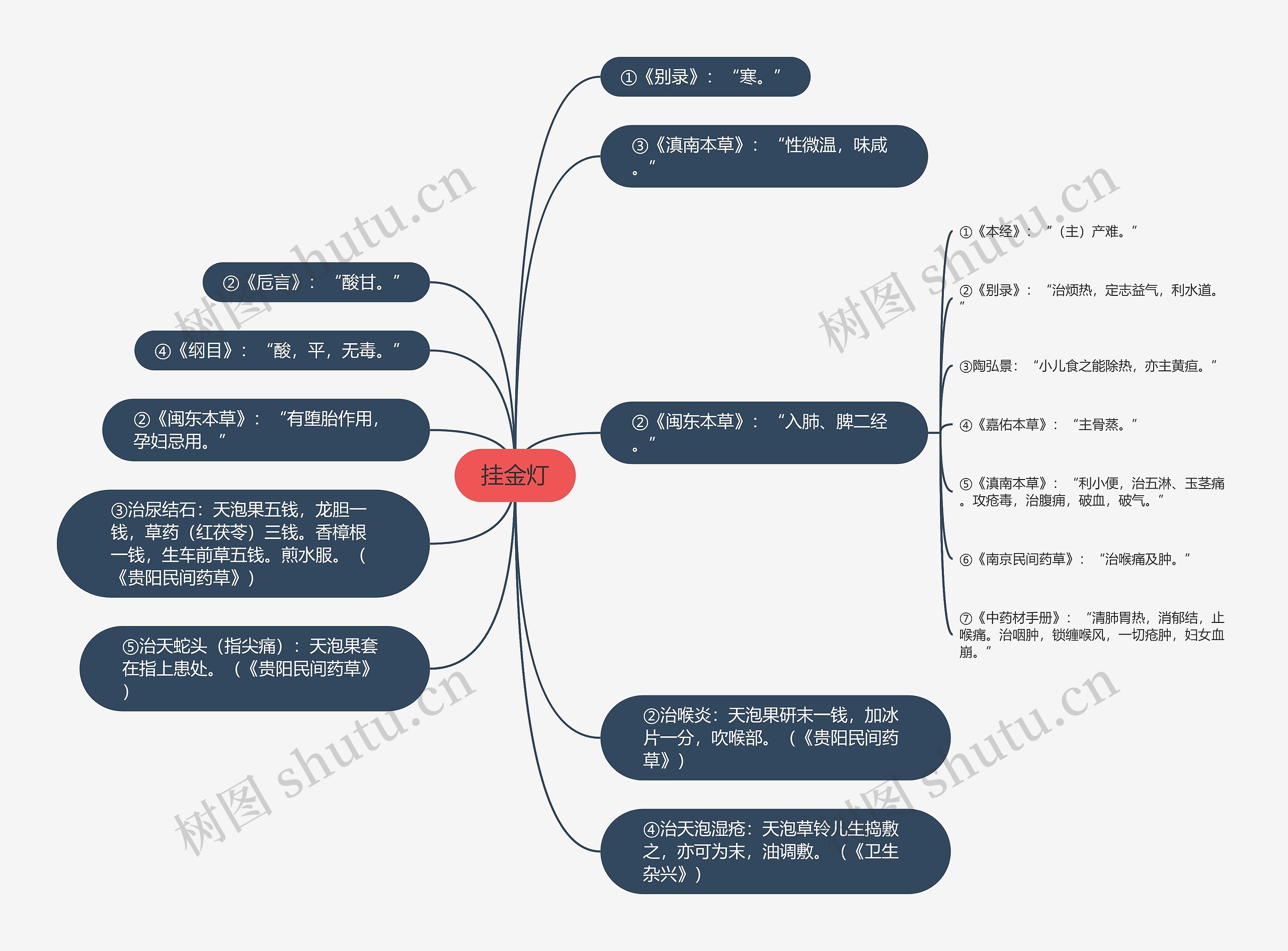 挂金灯思维导图