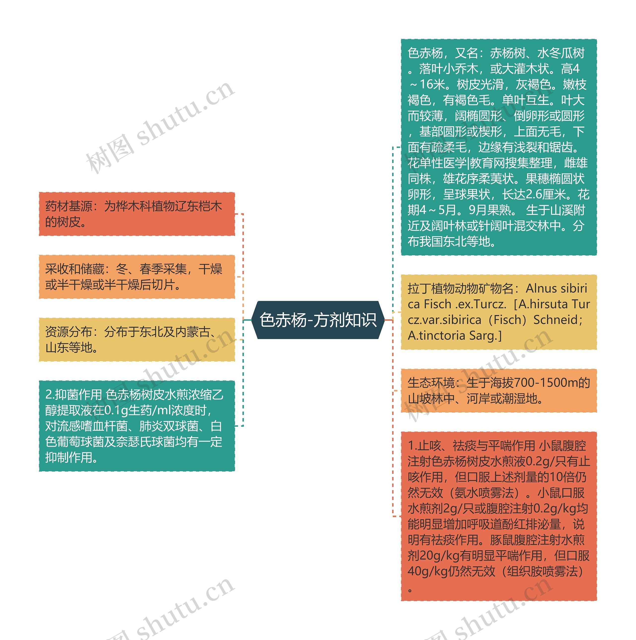 色赤杨-方剂知识 色赤杨-方剂知识