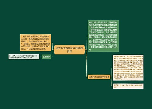 违停车主被撞后承担赔偿责任