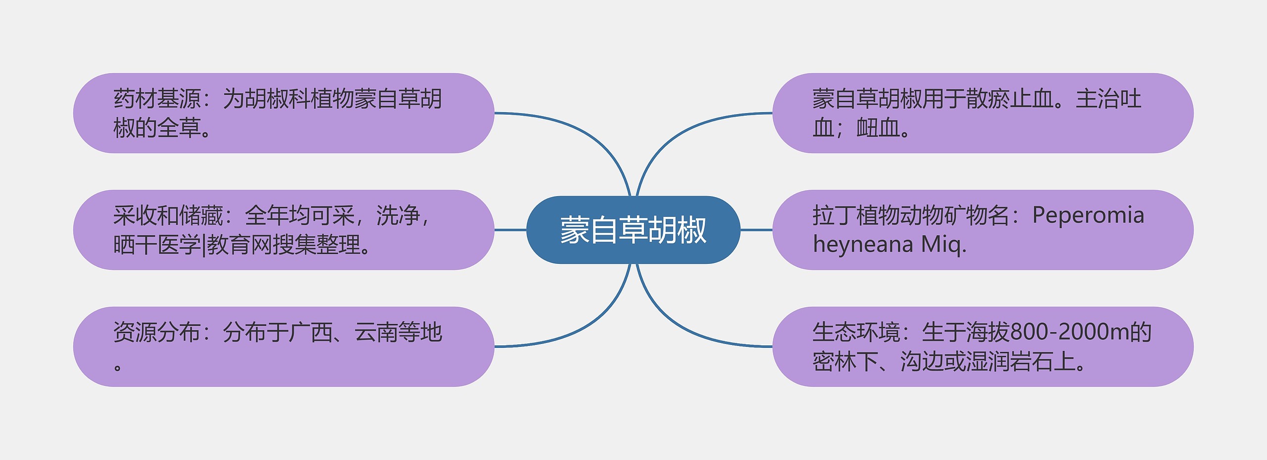 蒙自草胡椒思维导图