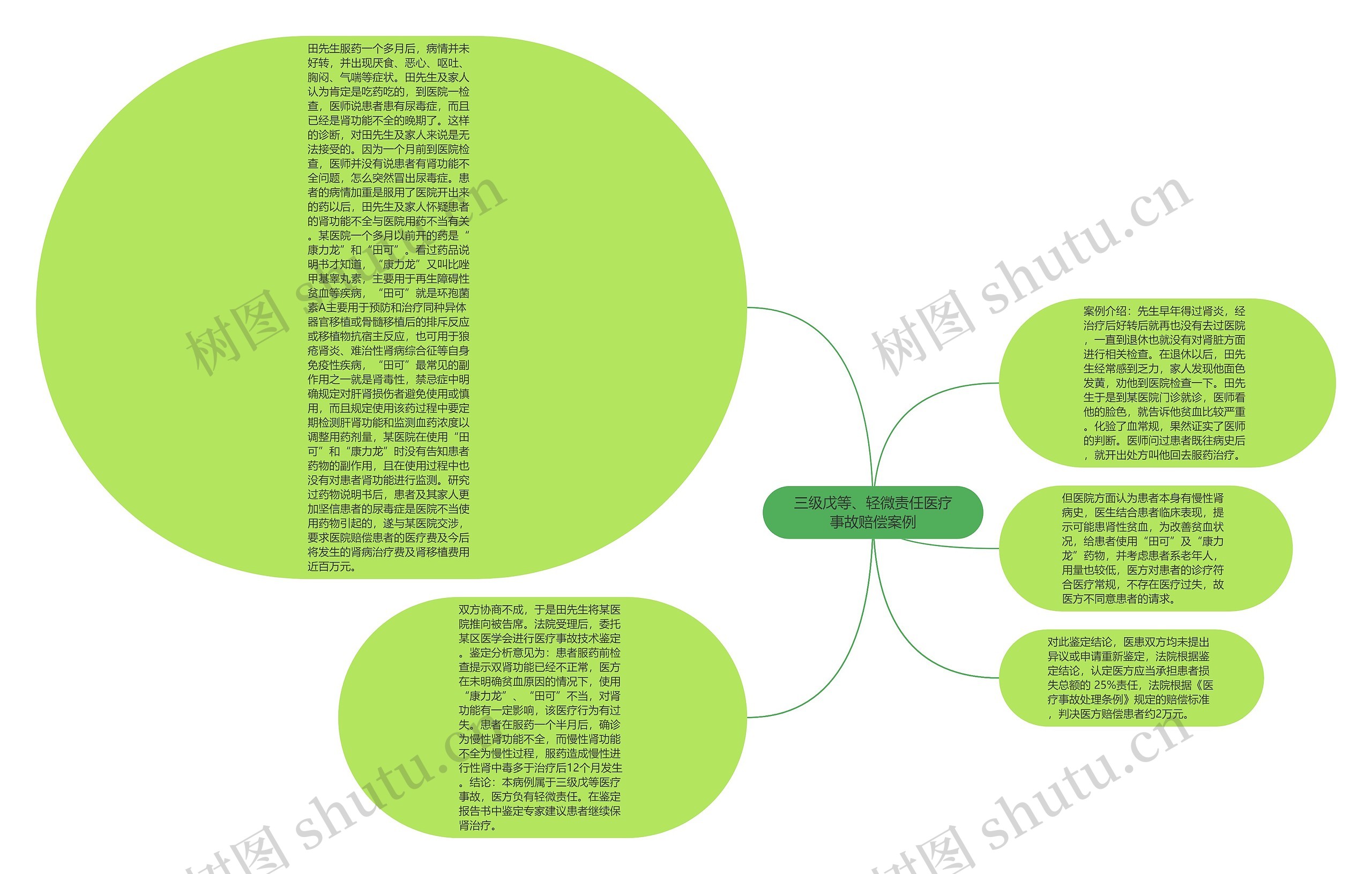 三级戊等、轻微责任医疗事故赔偿案例思维导图