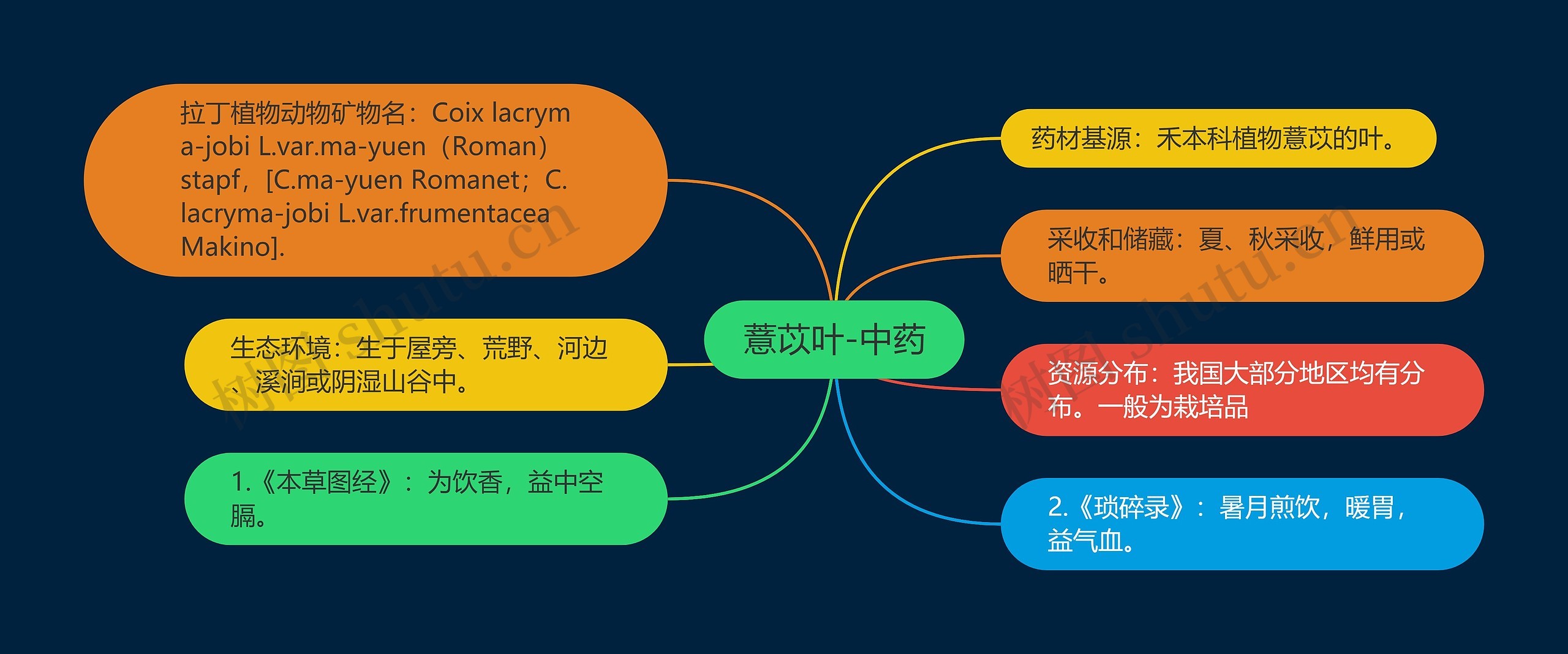 薏苡叶-中药思维导图