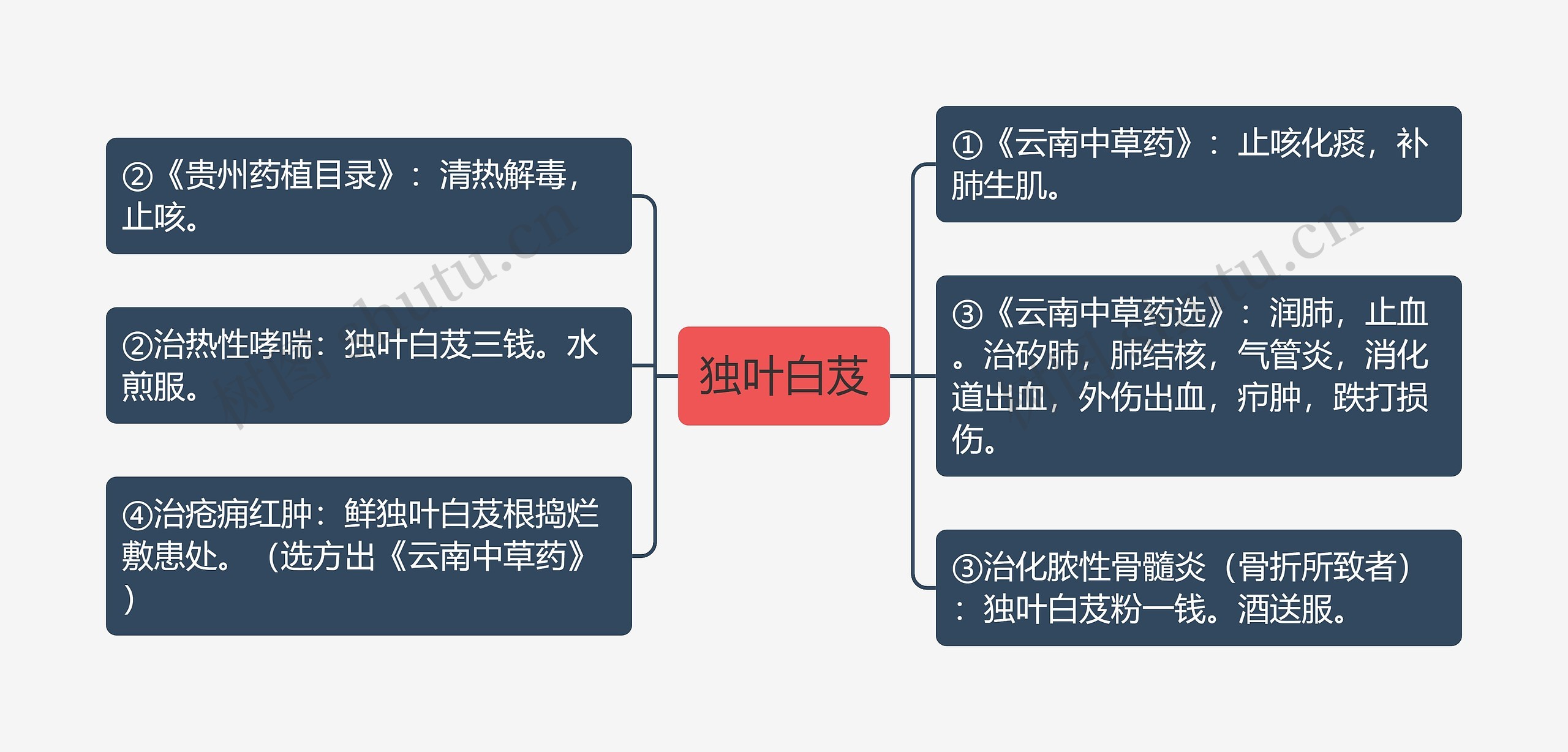 独叶白芨思维导图