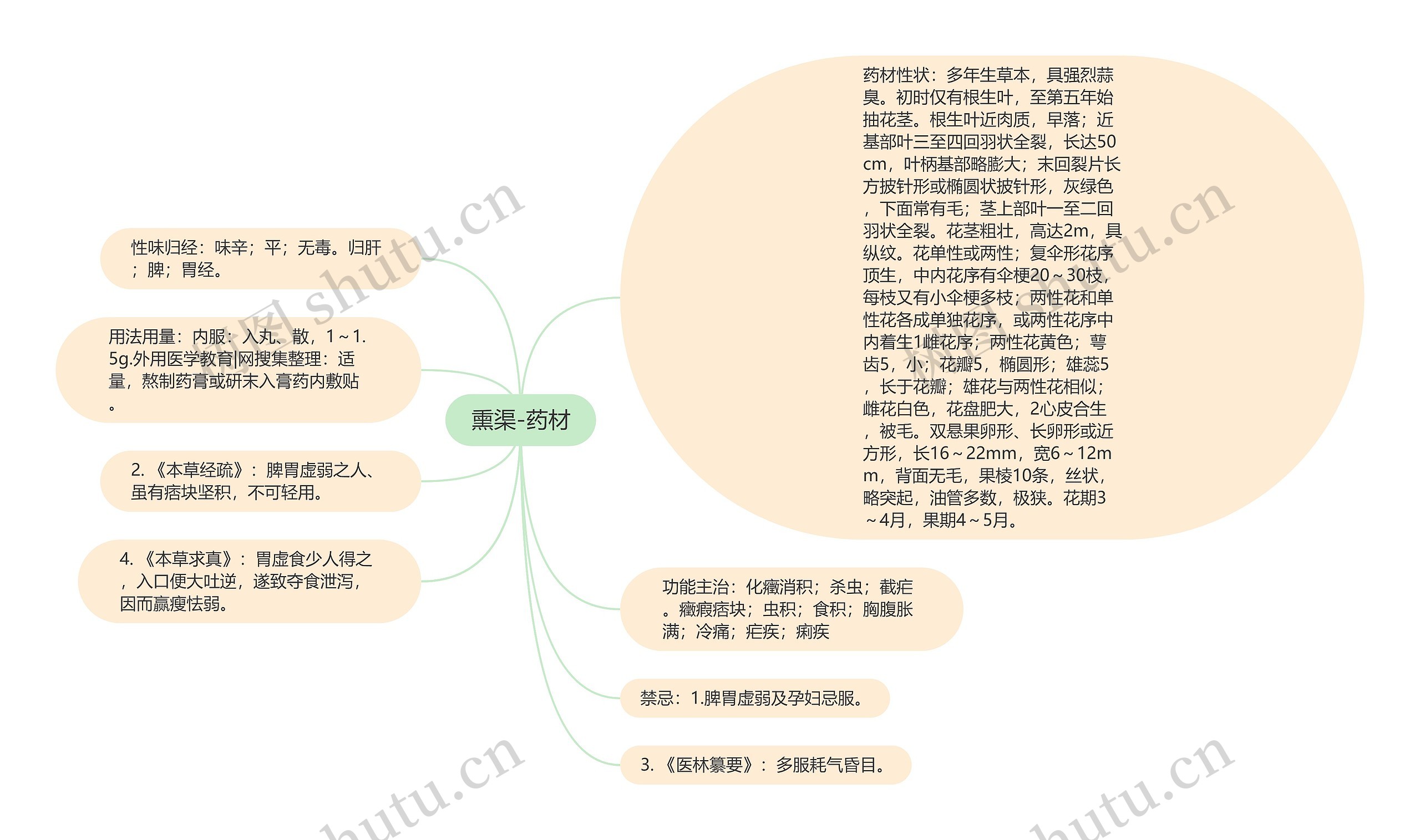 熏渠-药材思维导图