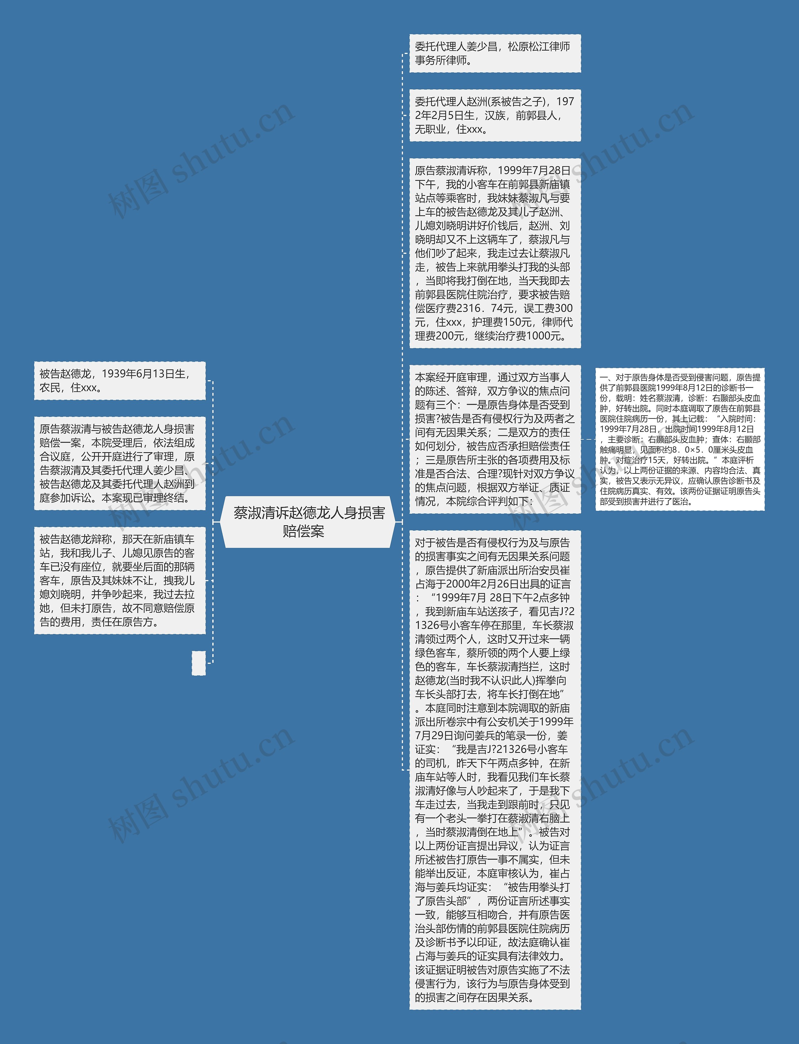  蔡淑清诉赵德龙人身损害赔偿案  思维导图