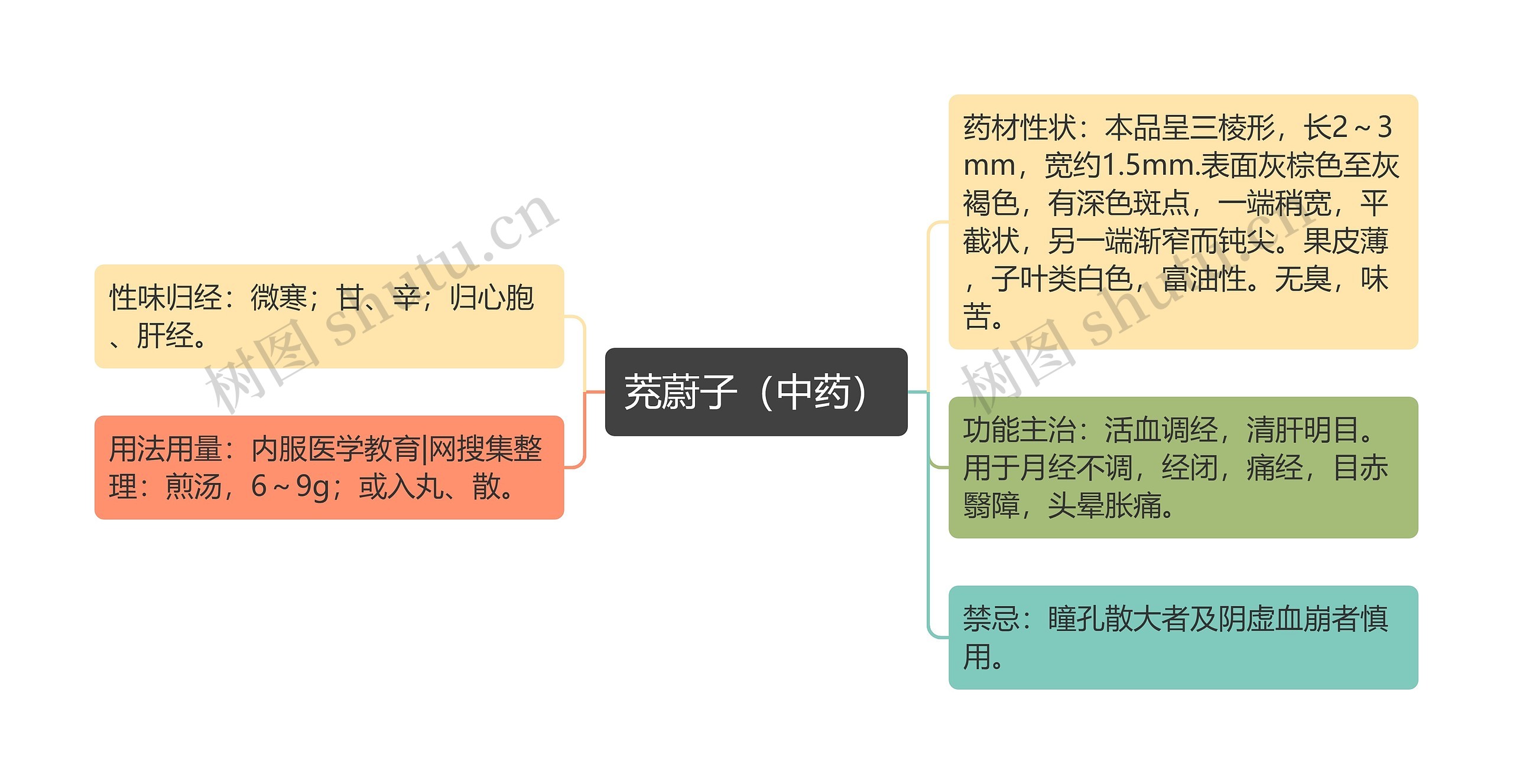 茺蔚子（中药）思维导图