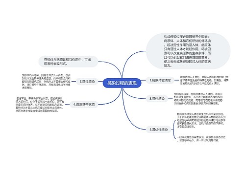 感染过程的表现