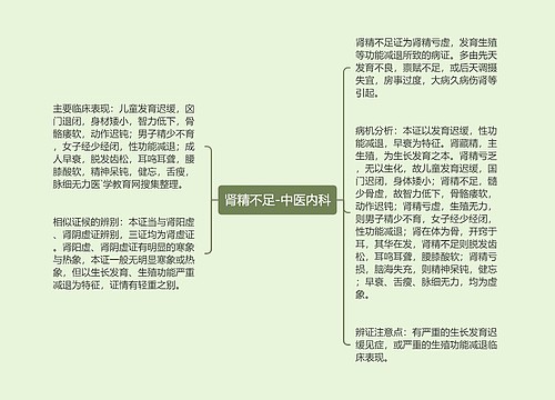 肾精不足-中医内科