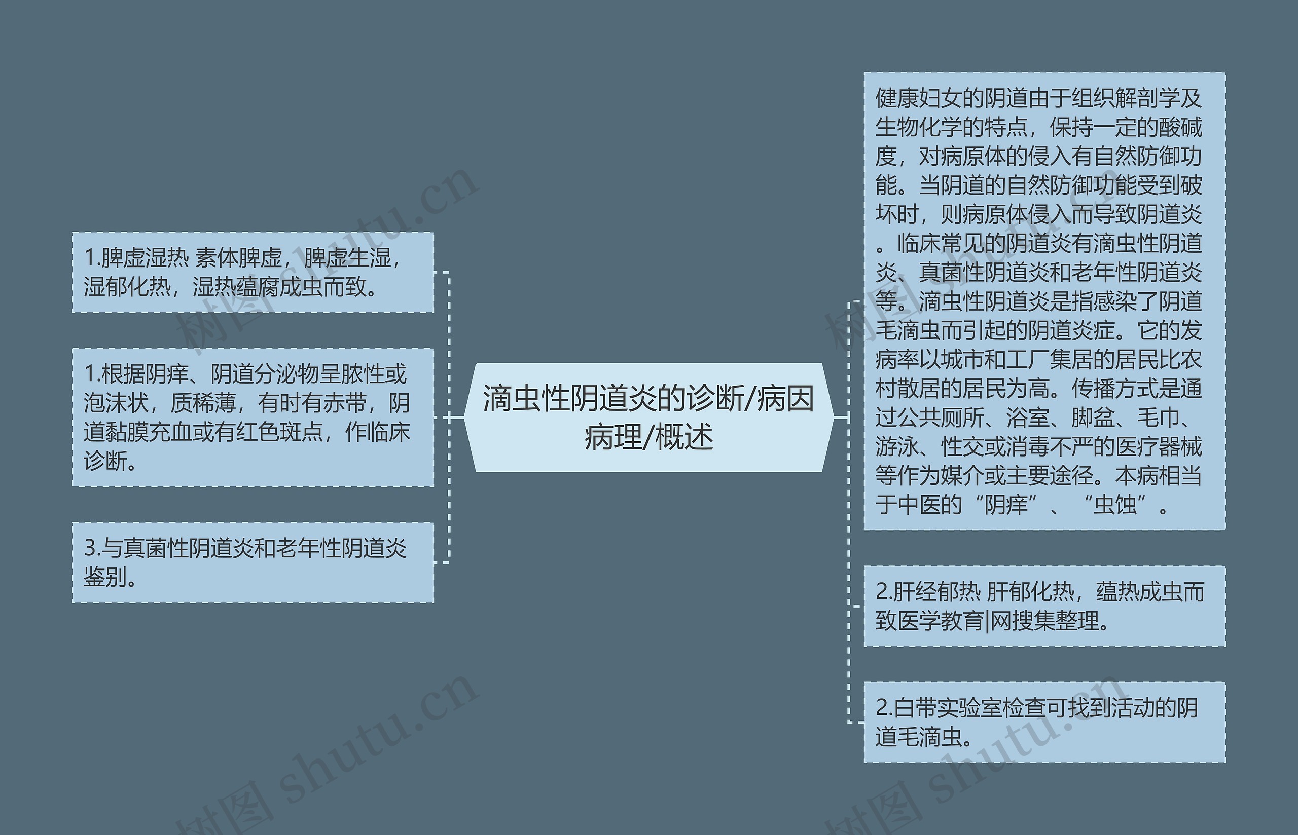 滴虫性阴道炎的诊断/病因病理/概述 滴虫性阴道炎的诊断/病因病理/概述