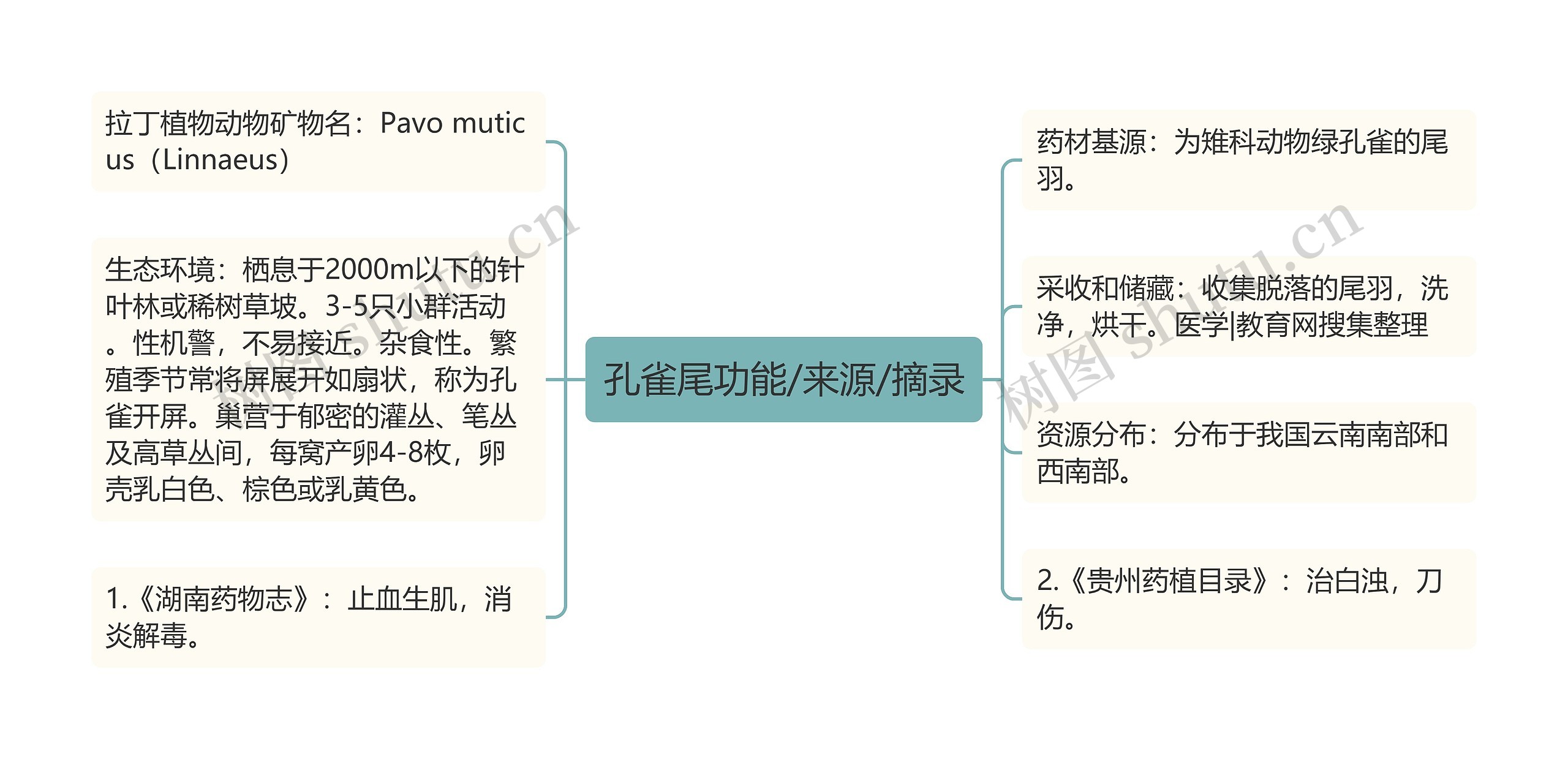 孔雀尾功能/来源/摘录 孔雀尾功能/来源/摘录