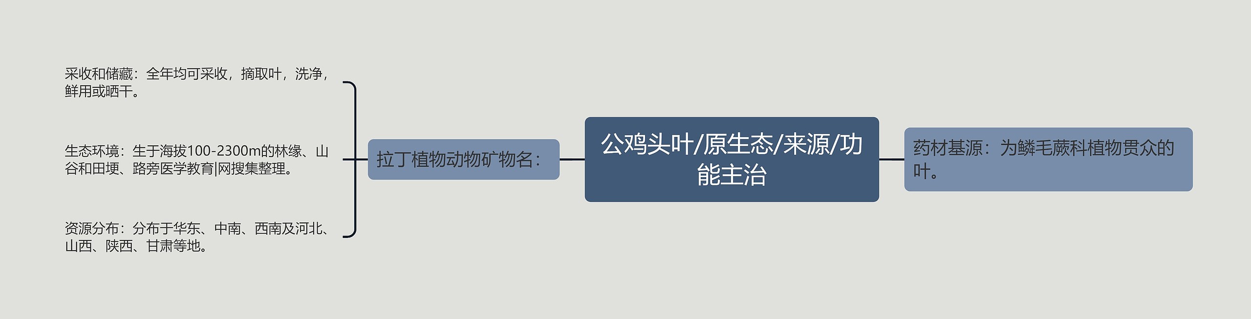 公鸡头叶/原生态/来源/功能主治思维导图