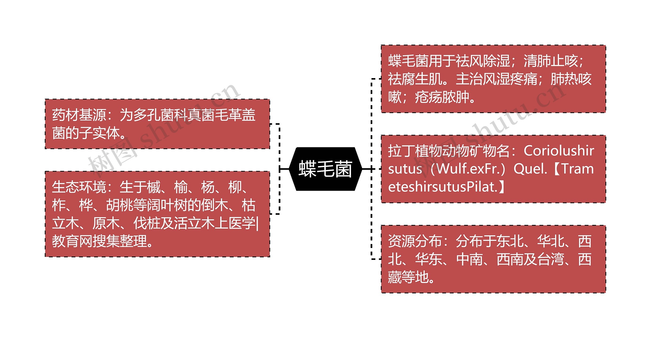 蝶毛菌思维导图