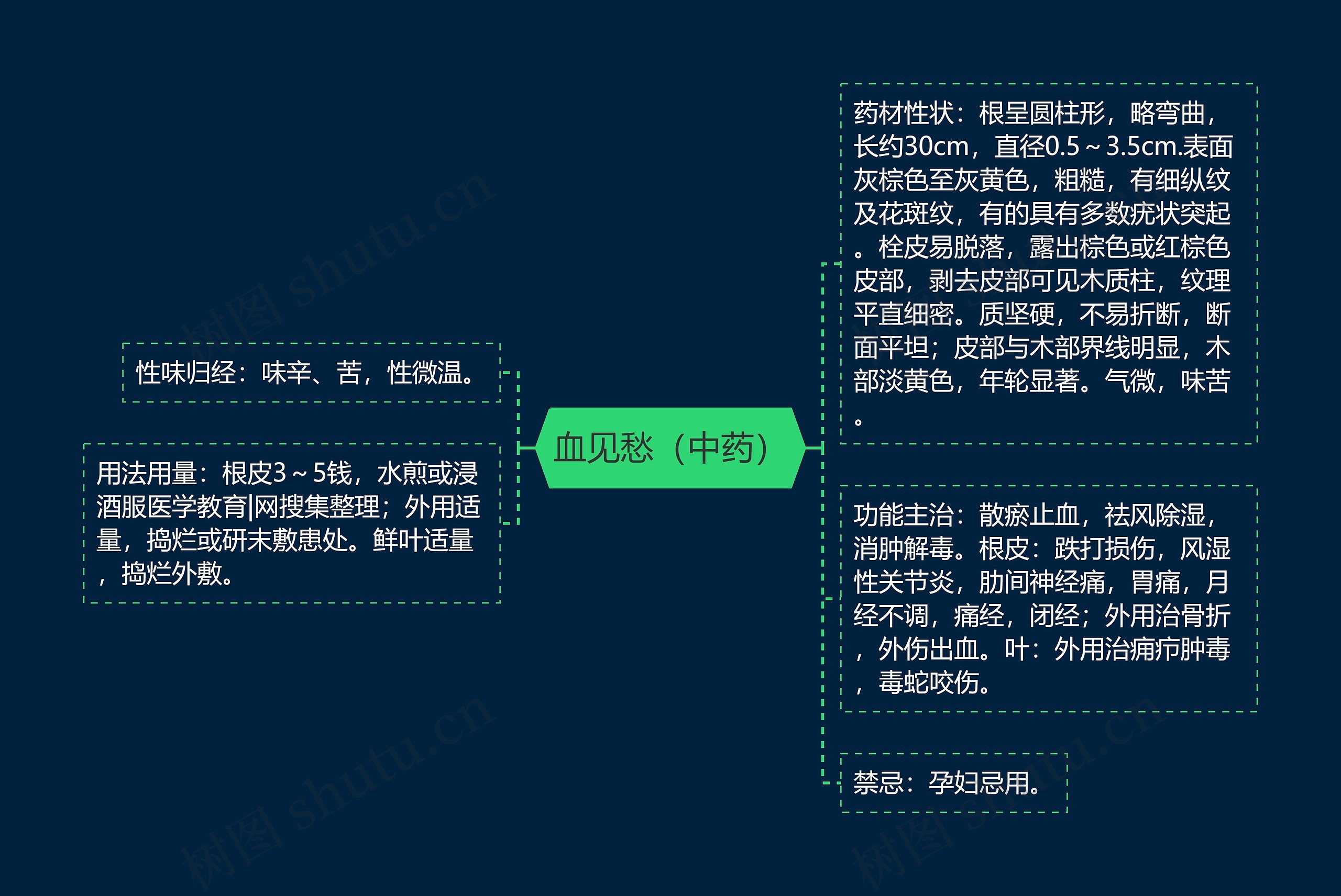 血见愁（中药）思维导图